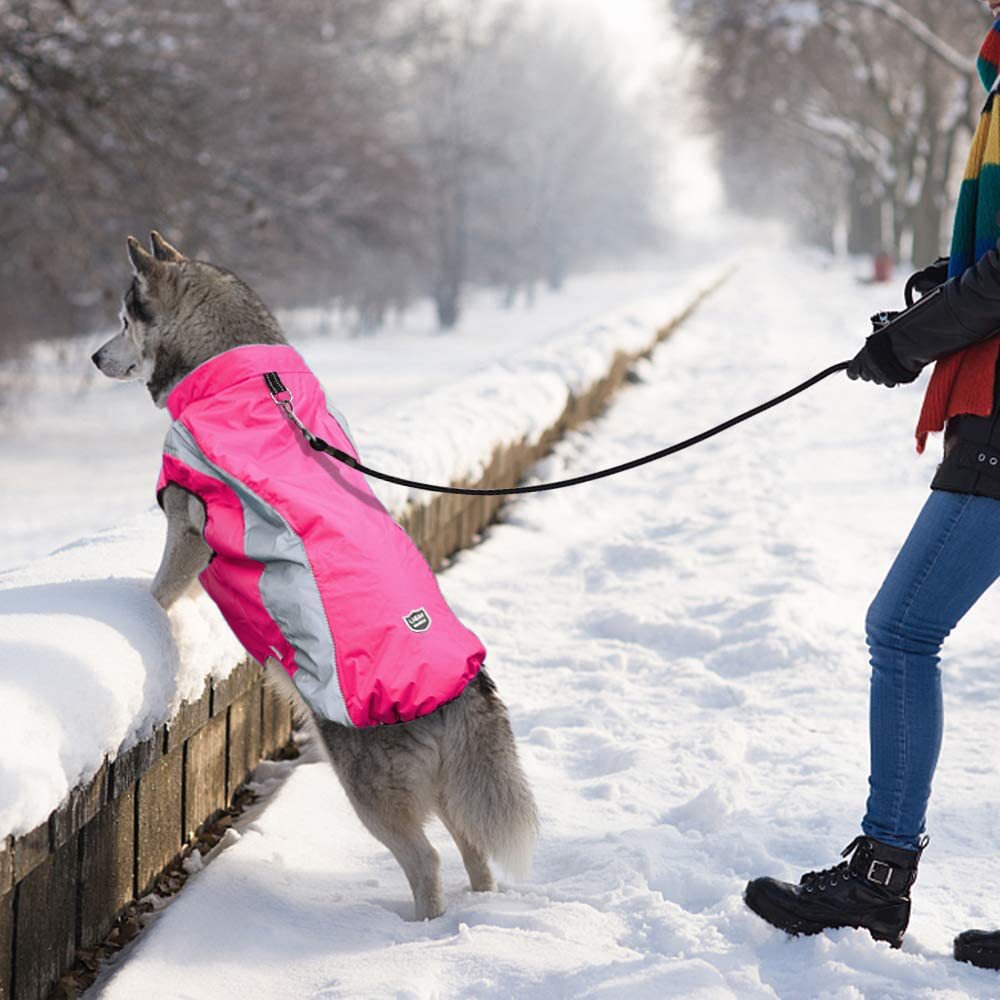 Didog Waterproof Dog Winter Coats Clothes,Reflective Dog Cold Weather Vest Jackets with Soft Warm Fleece,Windproof Dog Apparel for Medium Large Dogs Animals & Pet Supplies > Pet Supplies > Dog Supplies > Dog Apparel Didog