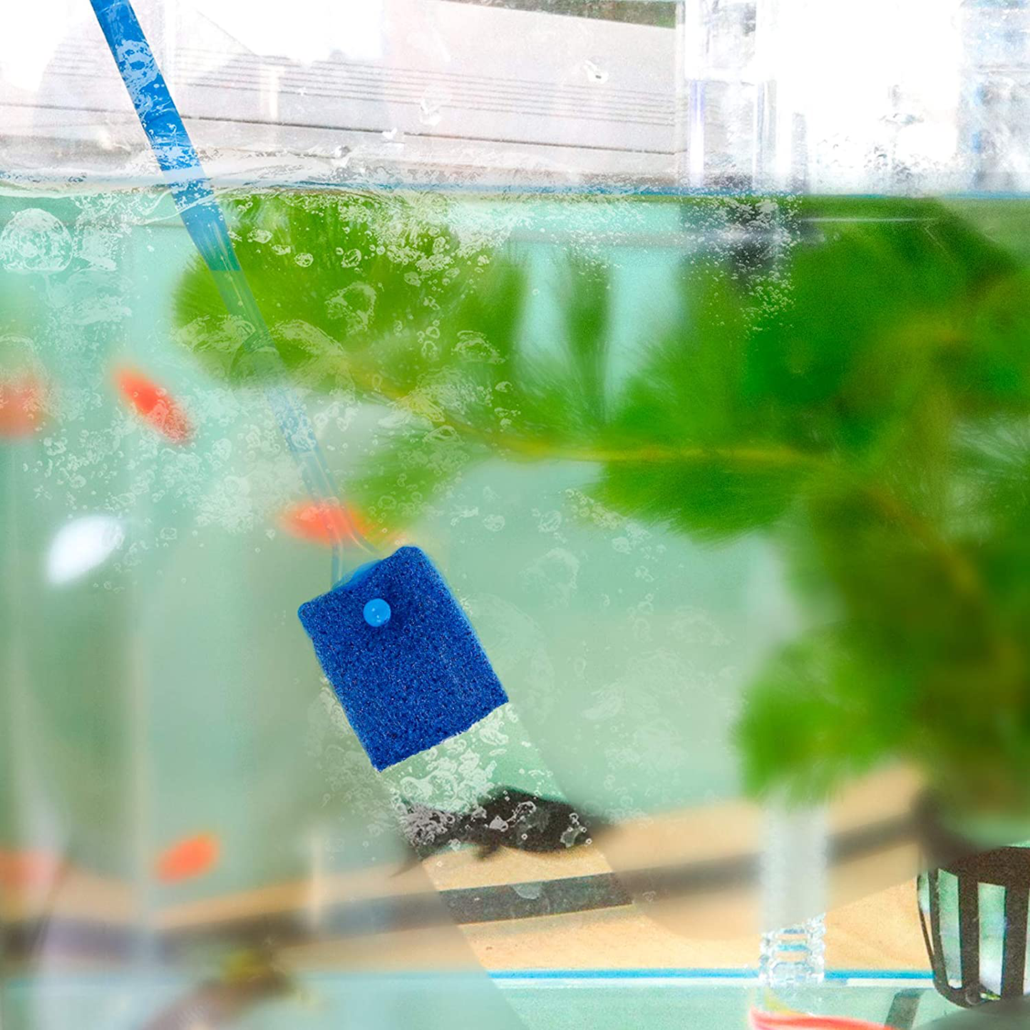 Roundler 10 in 1 Aquarium Coral Feeder Aquatic Plant Aquascaping Tool with Stainless Steel Feeding Long Tweezers Spatula 1 Fishing Net 80 Strips PH Tester 2 Straw Brushes 1 Cleaning Brush (H01) Animals & Pet Supplies > Pet Supplies > Fish Supplies > Aquarium Cleaning Supplies Roundler