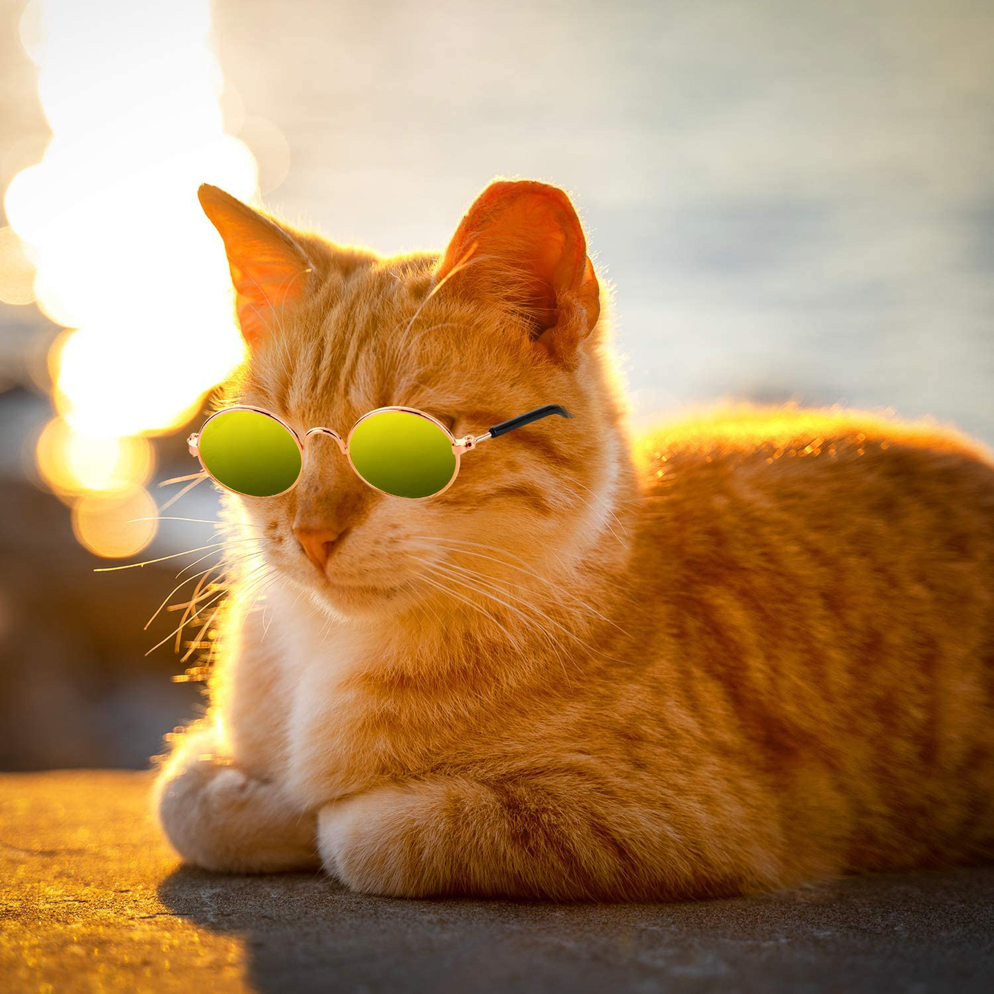 Frienda 10 Piece Dog Sunglasses round Metal Cat Classic Retro Sunglasses Pet Hippie Cute and Funny Pet Sunglasses Dog Cat Cosplay Party Costume Photo Props (Mixed Color) Animals & Pet Supplies > Pet Supplies > Cat Supplies > Cat Apparel Frienda