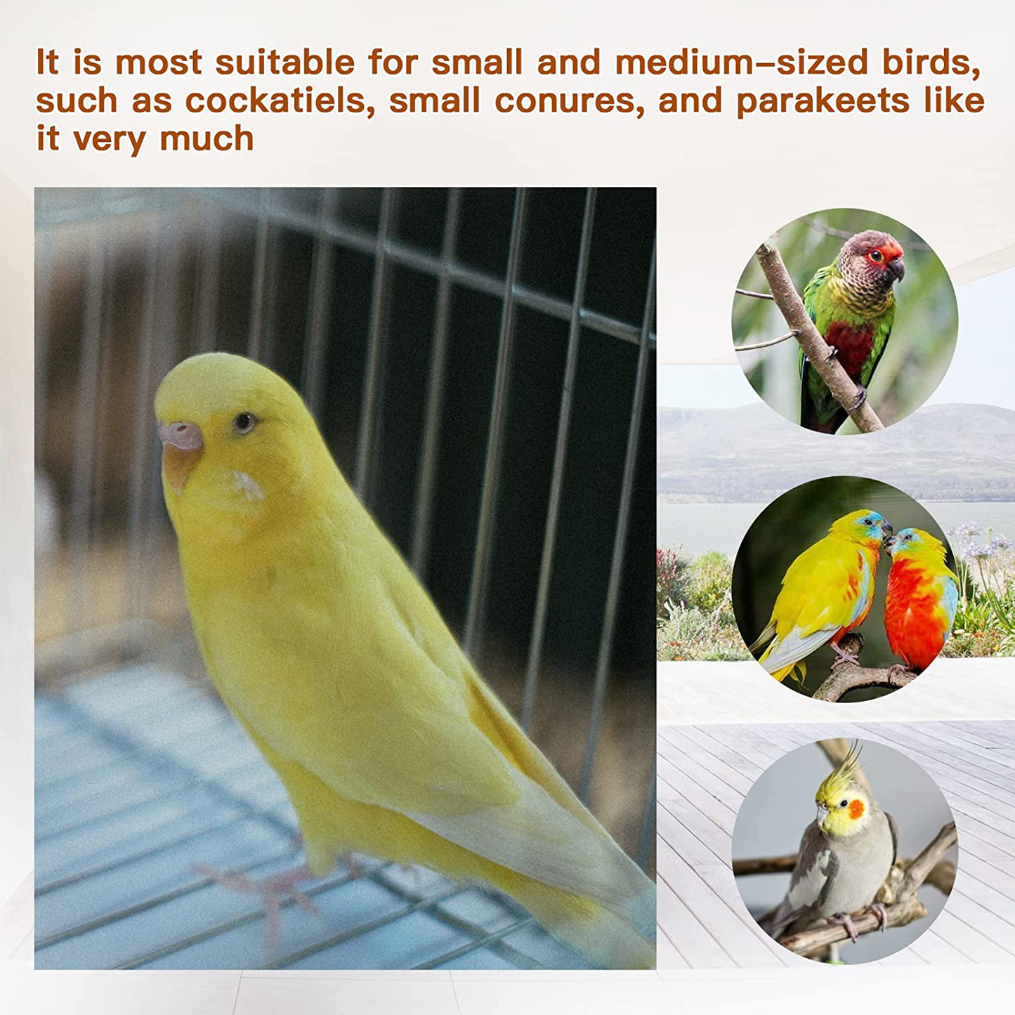 RF-X Bird Toys, Parrot Toys, 6-Piece Bird Training Toys, Including Mini Shopping Carts, Bird Sliders, Bird Stacking Toys, Parrot Building Block Puzzle Toys Animals & Pet Supplies > Pet Supplies > Bird Supplies > Bird Toys RF-X