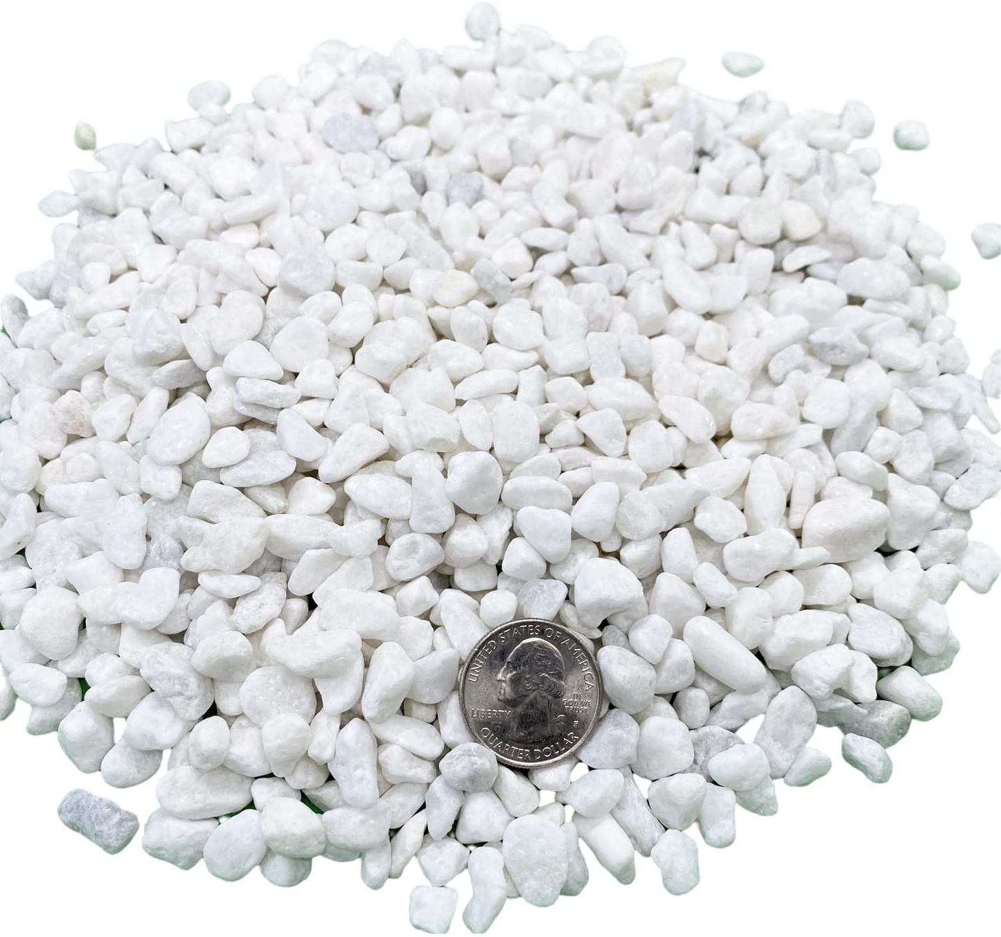 Natural Polished Decorative White Pebbles - 5 Lbs White Rocks for Plants, Fish Tank, Vases, Sidewalk Paving, Aquarium Gravel, Pea Gravel, Terrariums and Top Dressing (Medium) Animals & Pet Supplies > Pet Supplies > Fish Supplies > Aquarium Gravel & Substrates FANTIAN Small (Pack of 1)