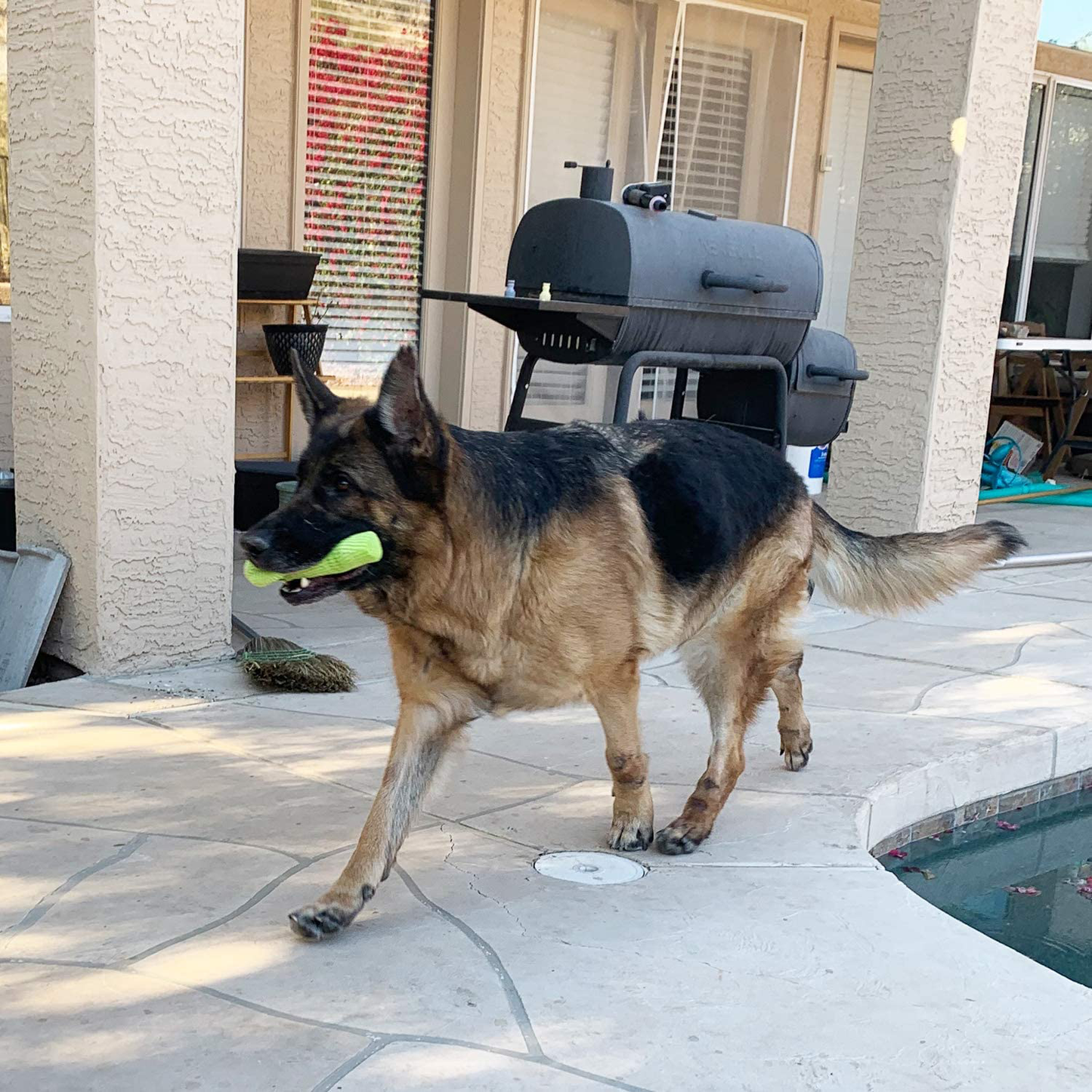 Jalousie 18 Pack Dog Squeaky Toys Cute Stuffed Pet Plush Toys Puppy Chew Toys for Small Medium Dog Puppy Pets - Bulk Dog Squeaky Toys Animals & Pet Supplies > Pet Supplies > Dog Supplies > Dog Toys Jalousie