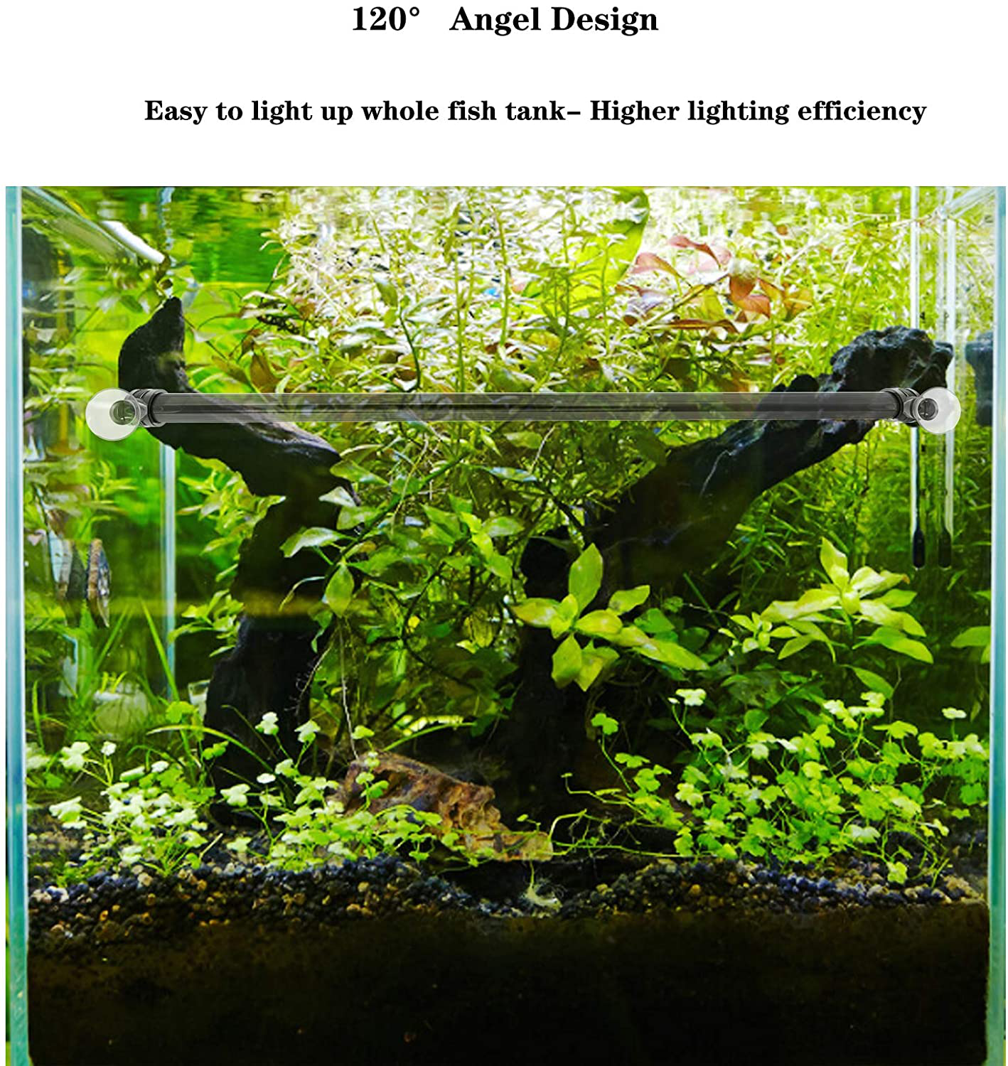 Lominie Submersible LED Aquarium Light, IP68 Waterproof Fish Tank Light with Timer, 3 Lighting Modes Dimmable Crystal Glass Light (20Cm, Freshwater) Animals & Pet Supplies > Pet Supplies > Fish Supplies > Aquarium Lighting Lominie