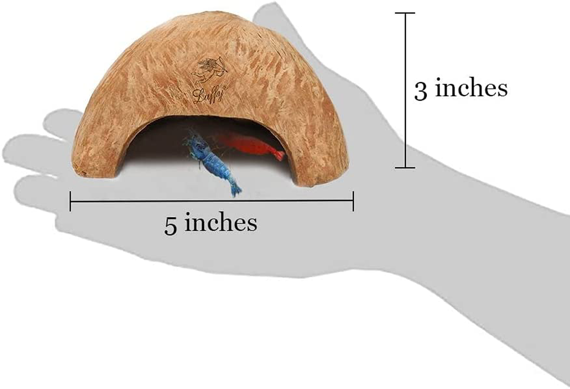 Sungrow Coco Shrimp Cave, Comfortable Shelter and Breeding Area for Crustaceans, Aquarium Decor, Ideal for Swimming in & Out, Encourages Shedding, 1 Pc Animals & Pet Supplies > Pet Supplies > Fish Supplies > Aquarium Decor SunGrow