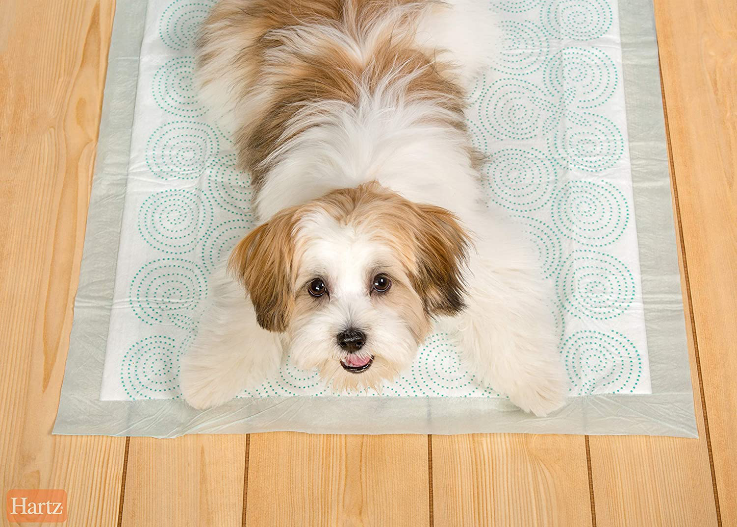 Hartz Home Protection Quilted plus Dog Pads, Super Absorbent & Won’T Leak, Clean Powder Scent, Regular, 50 Count Animals & Pet Supplies > Pet Supplies > Dog Supplies > Dog Diaper Pads & Liners Hartz