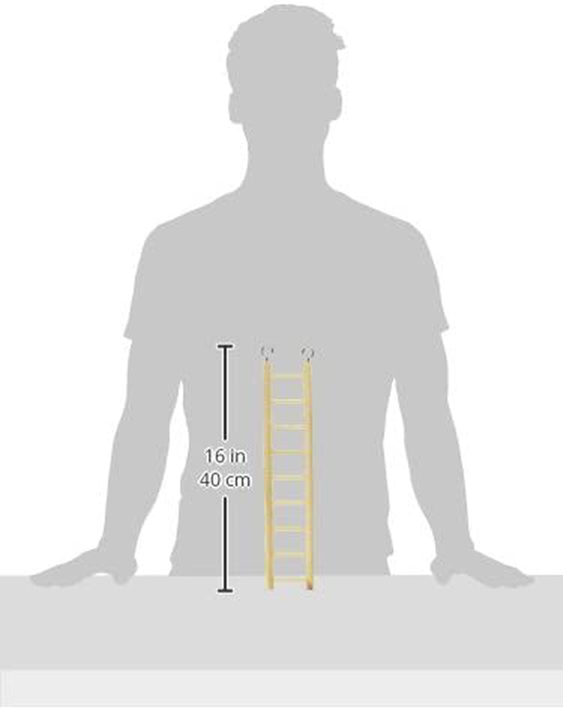 Prevue Pet Products BPV385 Birdie Basics 9-Step Wood Ladder for Bird, 14-1/2-Inch Animals & Pet Supplies > Pet Supplies > Bird Supplies > Bird Ladders & Perches Prevue Pet Products