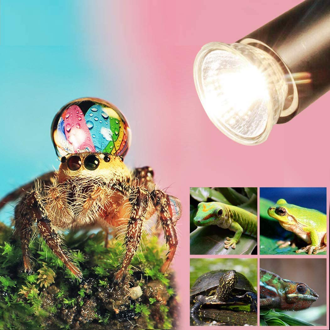 Aquarium Stand,Reptile Lamp Stand for E27 Lamp Holder,Such as Pet UVB Bulbs, Ceramic Heating Bulbs(Not Including Bulb) (1, Black) Animals & Pet Supplies > Pet Supplies > Reptile & Amphibian Supplies > Reptile & Amphibian Habitat Heating & Lighting QSLQYB