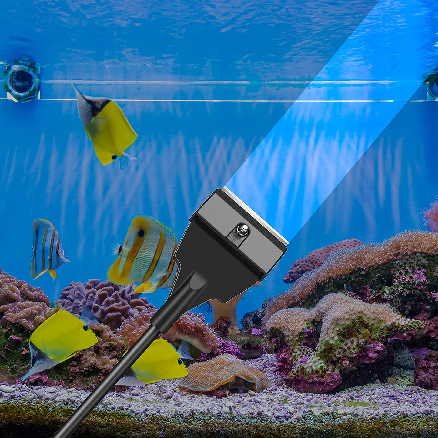 Aquarium Algae Scraper Cleaner Tool Kit with 5 Stainless Steel Blades Fish Tank Scraper Long Handheld Aquarium Cleaning Tool Remove Thick Residue for Fish Reef Plant Glass Tank, 21.65 Inch Animals & Pet Supplies > Pet Supplies > Fish Supplies > Aquarium Cleaning Supplies Honoson