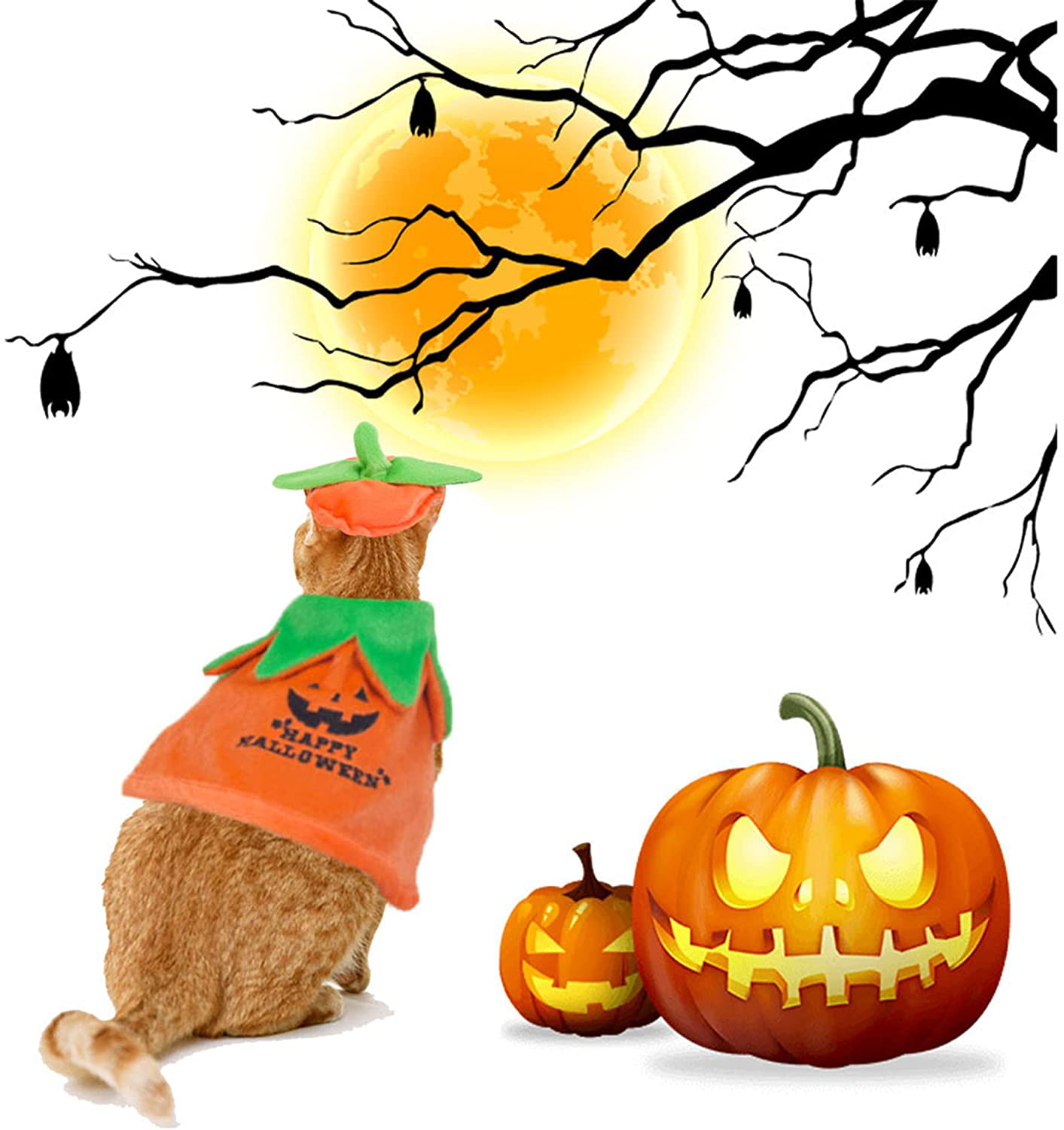 Halloween Cat Costume Cat Pumpkin Hat Pumpkin Cat Cloak Cape Cat Halloween Accessories Pet Costumes for Cats Cosplay Animals & Pet Supplies > Pet Supplies > Cat Supplies > Cat Apparel ADOGGYGO