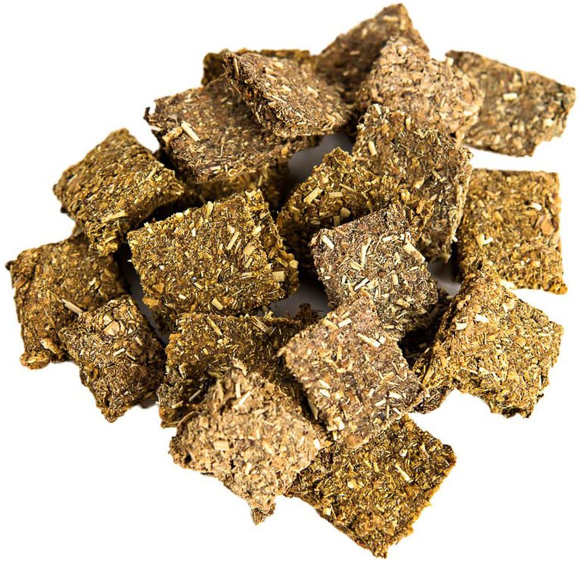 Small Pet Select - Healthy Snackers - Pumpkin Animals & Pet Supplies > Pet Supplies > Small Animal Supplies > Small Animal Food Small Pet Select