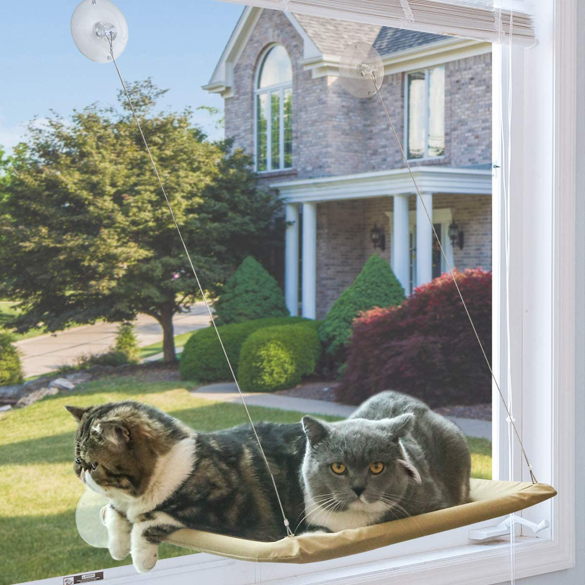Window suction cat bed hot sale