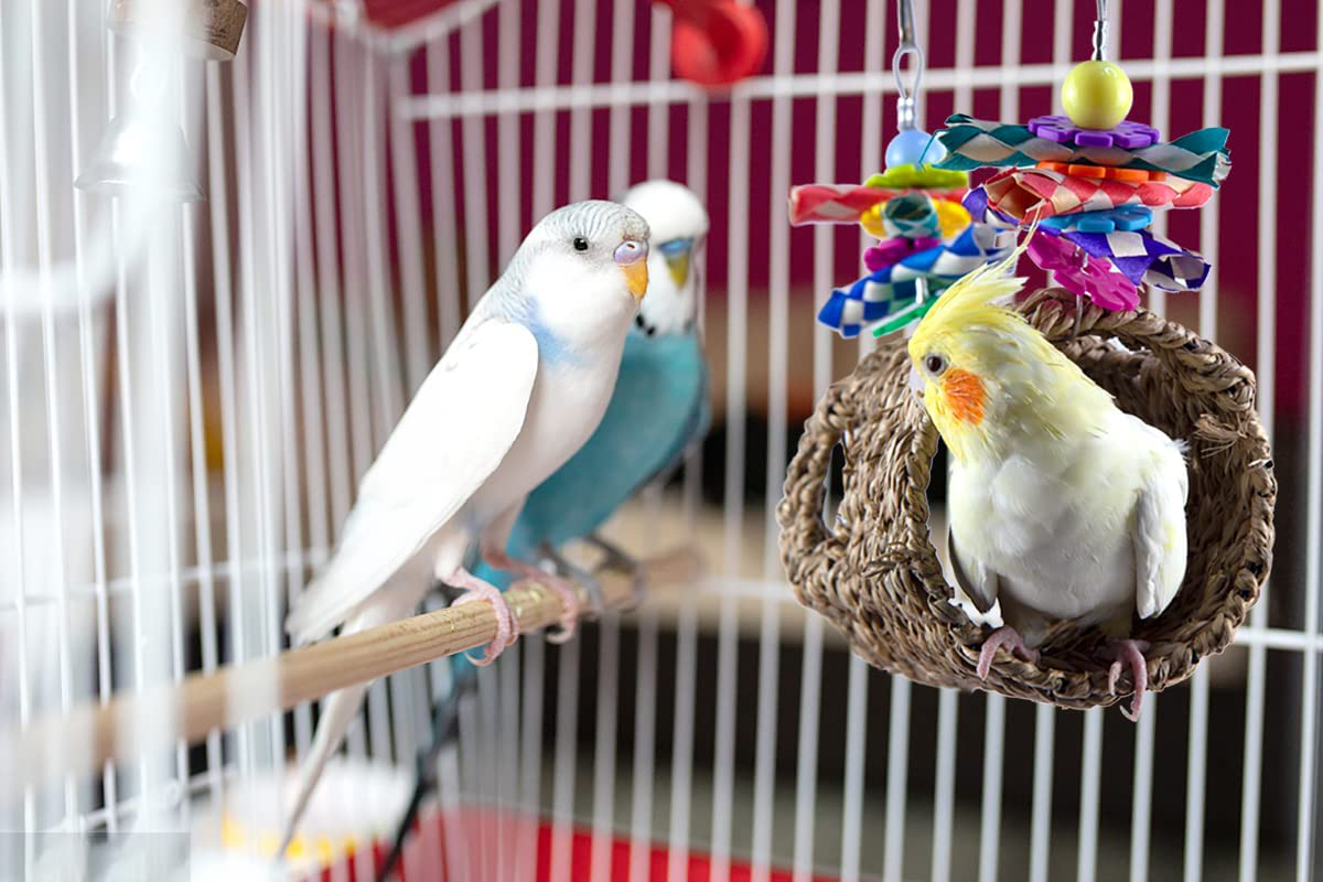 Vehomy Seagrass Bird House Bird Parrot Sea Grass Tent Parrot Tunnel with Holes Natural Hanging Hammock Swing Nest Bird Snuggle Hut Toy for Bird Parrot Hamster Animals & Pet Supplies > Pet Supplies > Bird Supplies > Bird Toys Vehomy