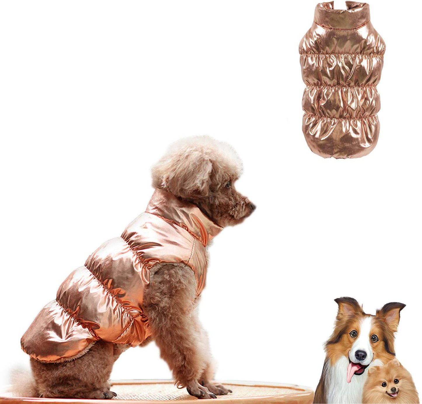 Sunteelong Winter Puppy Dog Coat Waterproof Pet Clothes Windproof Dog Snowsuit Warm Fleece Padded Winter Pet Clothes for Small Dogs Animals & Pet Supplies > Pet Supplies > Cat Supplies > Cat Apparel SunteeLong Vest Gold M(Chest:14.5’’, Back Length:10.5’’)