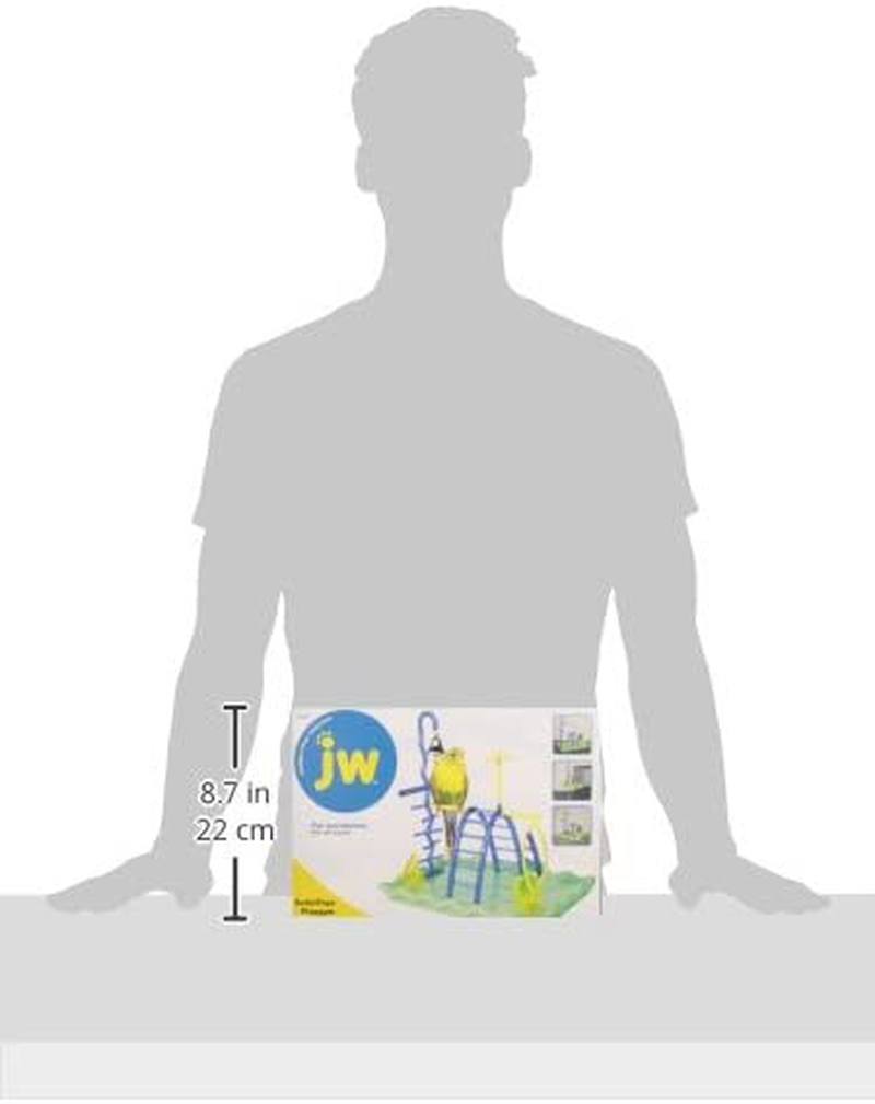 JW Pet Company Activitoys Play Gym Bird Toy, 12'' Length X 8'' Width X 11.5'' Height (31040) Animals & Pet Supplies > Pet Supplies > Bird Supplies > Bird Gyms & Playstands JW Pet