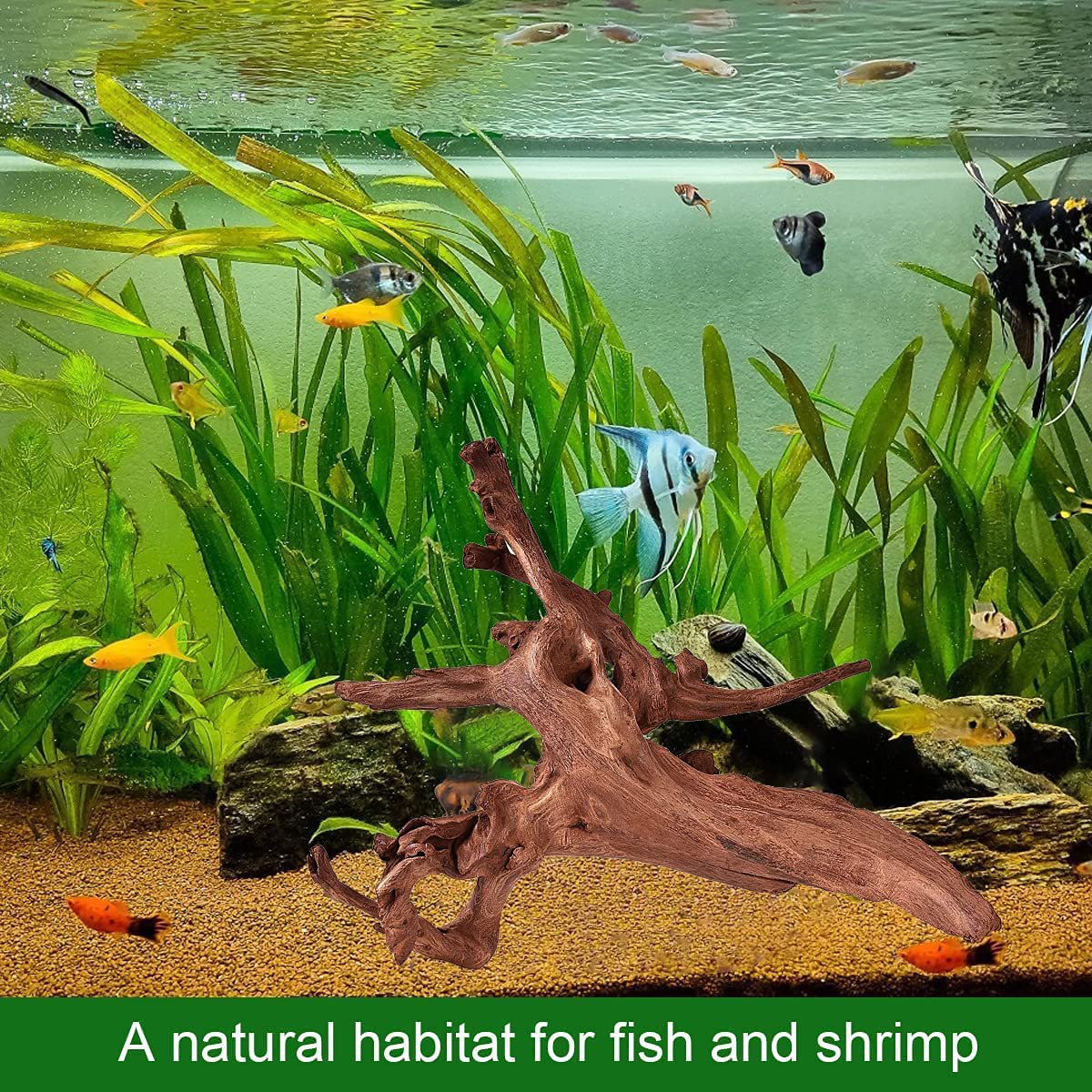 WDEFUN 3 Pieces Natural Driftwood for Aquarium Decor,Assorted Branches 7"-11" Decorations on Reptile Fish Tank… Animals & Pet Supplies > Pet Supplies > Fish Supplies > Aquarium Decor WDEFUN