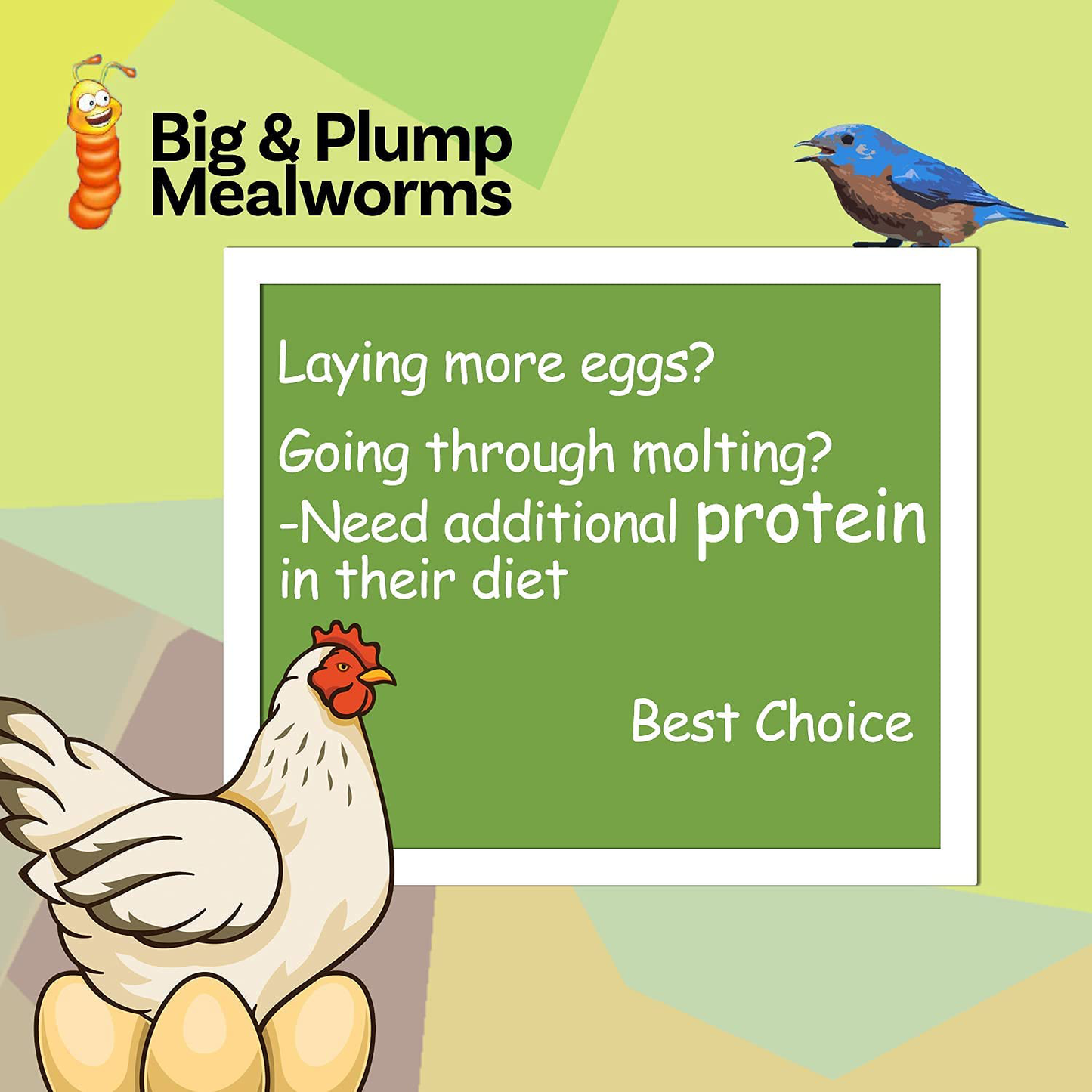 Dried Mealworms-2 LBS-100% Natural Non GMO High Protein Mealworms for Chicken-Bulk Mealworms for Wild Birds, Chicken Treats, Hamster Food, Gecko Food, Turtle Food, Lizard Food Animals & Pet Supplies > Pet Supplies > Bird Supplies > Bird Treats LIWII