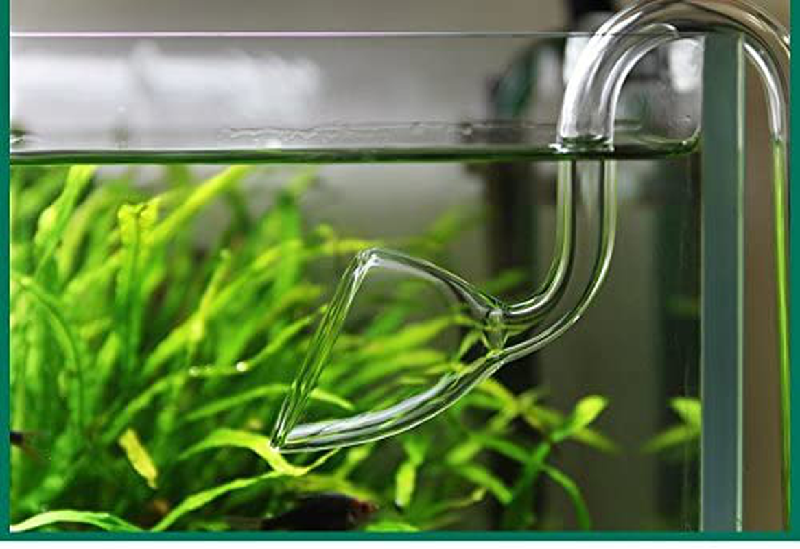 JARDLI 13Mm Plant Aquarium Glass Lily Pipe Inflow and Lily Pipe Outflow for 12/16Mm Tube Animals & Pet Supplies > Pet Supplies > Fish Supplies > Aquarium Filters JARDLI