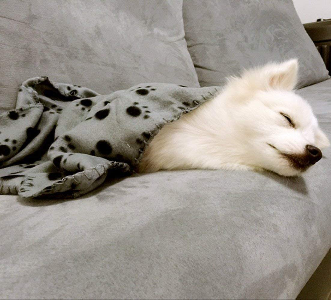 Comsmart Pet Blanket Dog Cat Soft Fleece Blankets Sleep Mat Pad Bed Cover with Paw Print for Kitten Puppy and Other Small Animals Animals & Pet Supplies > Pet Supplies > Small Animal Supplies > Small Animal Bedding Comsmart