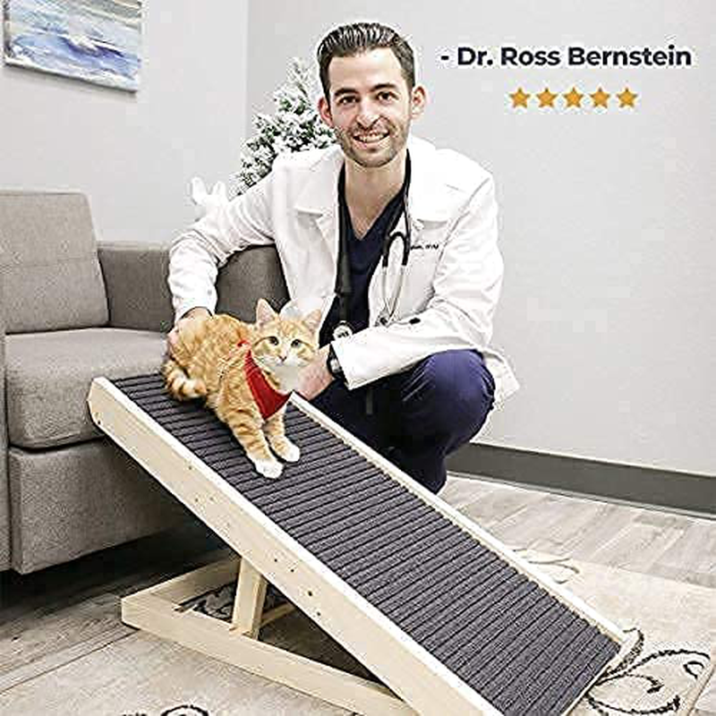 Alpha Paw Scratchyramp 2-In-1 Cat Ramp & Cat Scratcher - Pet Scratching Incline with Replaceable Carpet & Adjustable Height - Scratch Mat & Mobility Ramp for House Cats & Indoor Dogs Animals & Pet Supplies > Pet Supplies > Cat Supplies > Cat Beds Alpha Paw