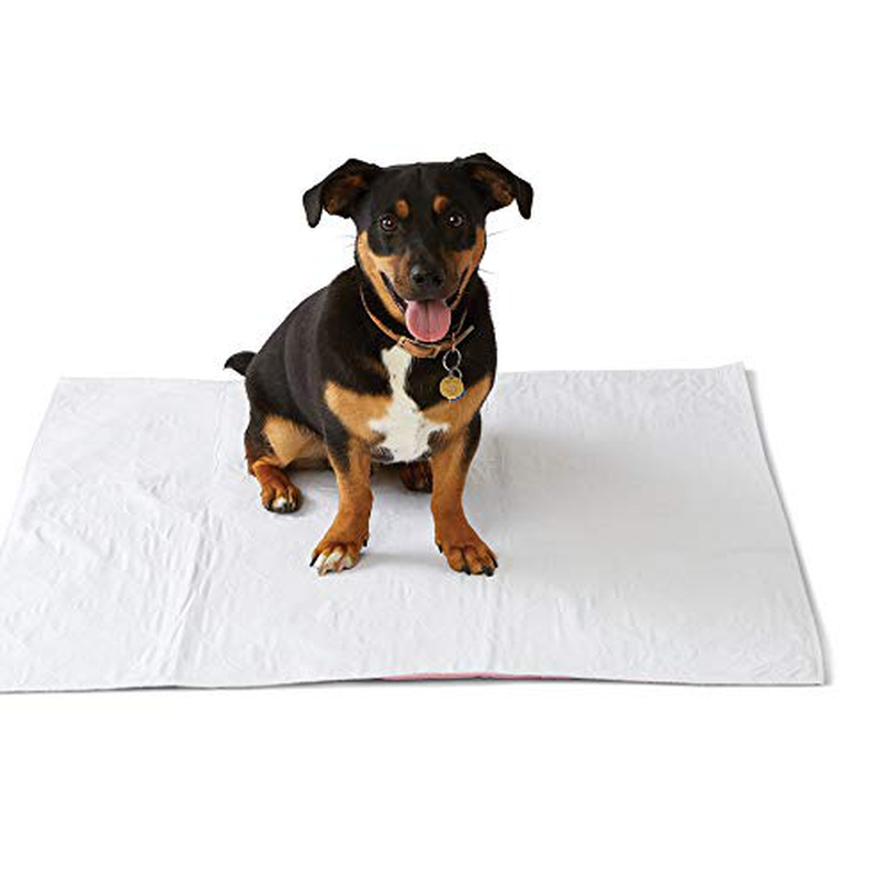 Medline Softnit 300 Washable Underpads, Pack of 4 Large Bed Pads, 34" X 36", for Use as Incontinence Bed Pads, Reusable Pet Pads, Great for Dogs, Cats, and Bunny Animals & Pet Supplies > Pet Supplies > Dog Supplies > Dog Diaper Pads & Liners Medline   