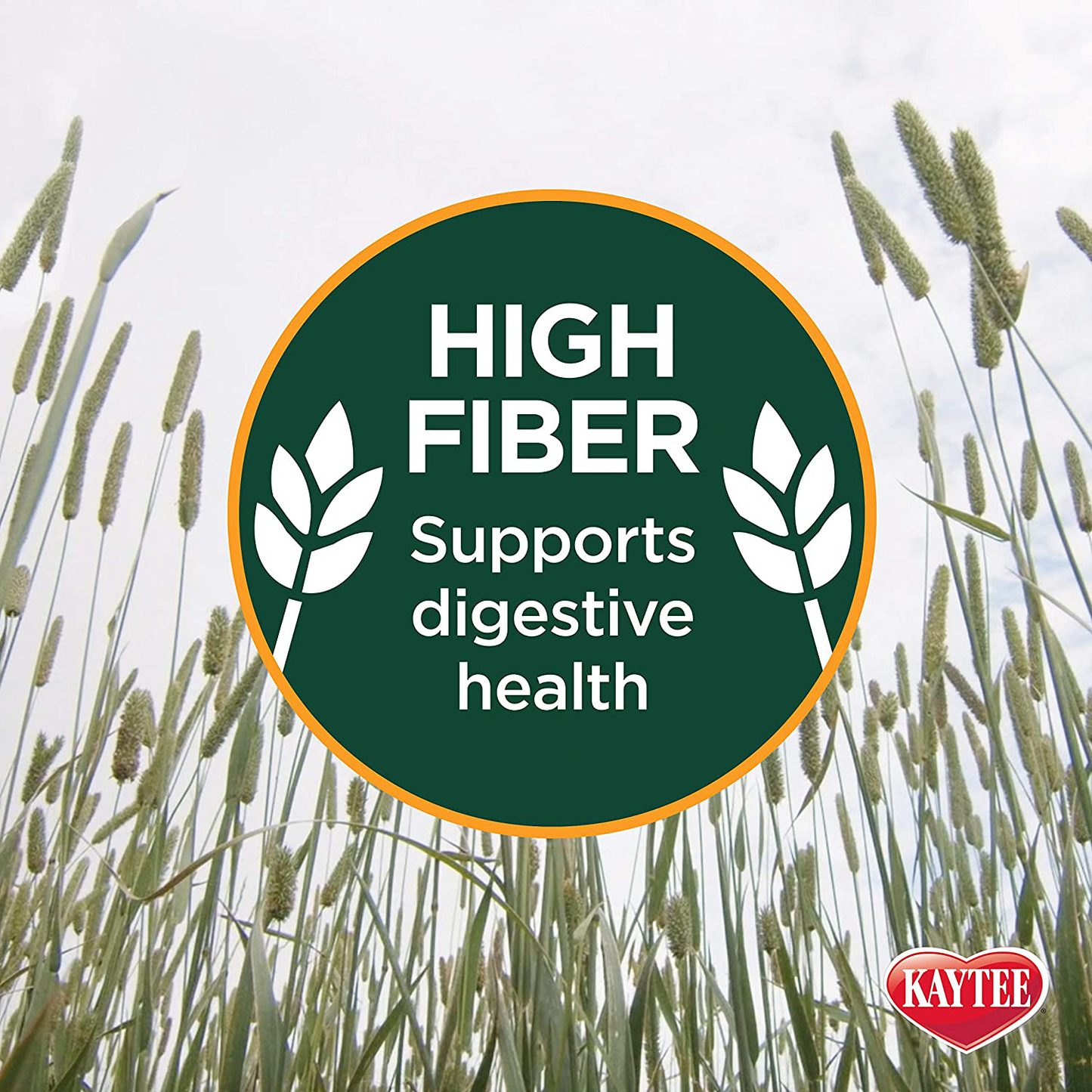 Kaytee Timothy Hay 2Nd Cut, 6.5 Lb Animals & Pet Supplies > Pet Supplies > Small Animal Supplies > Small Animal Food Kaytee