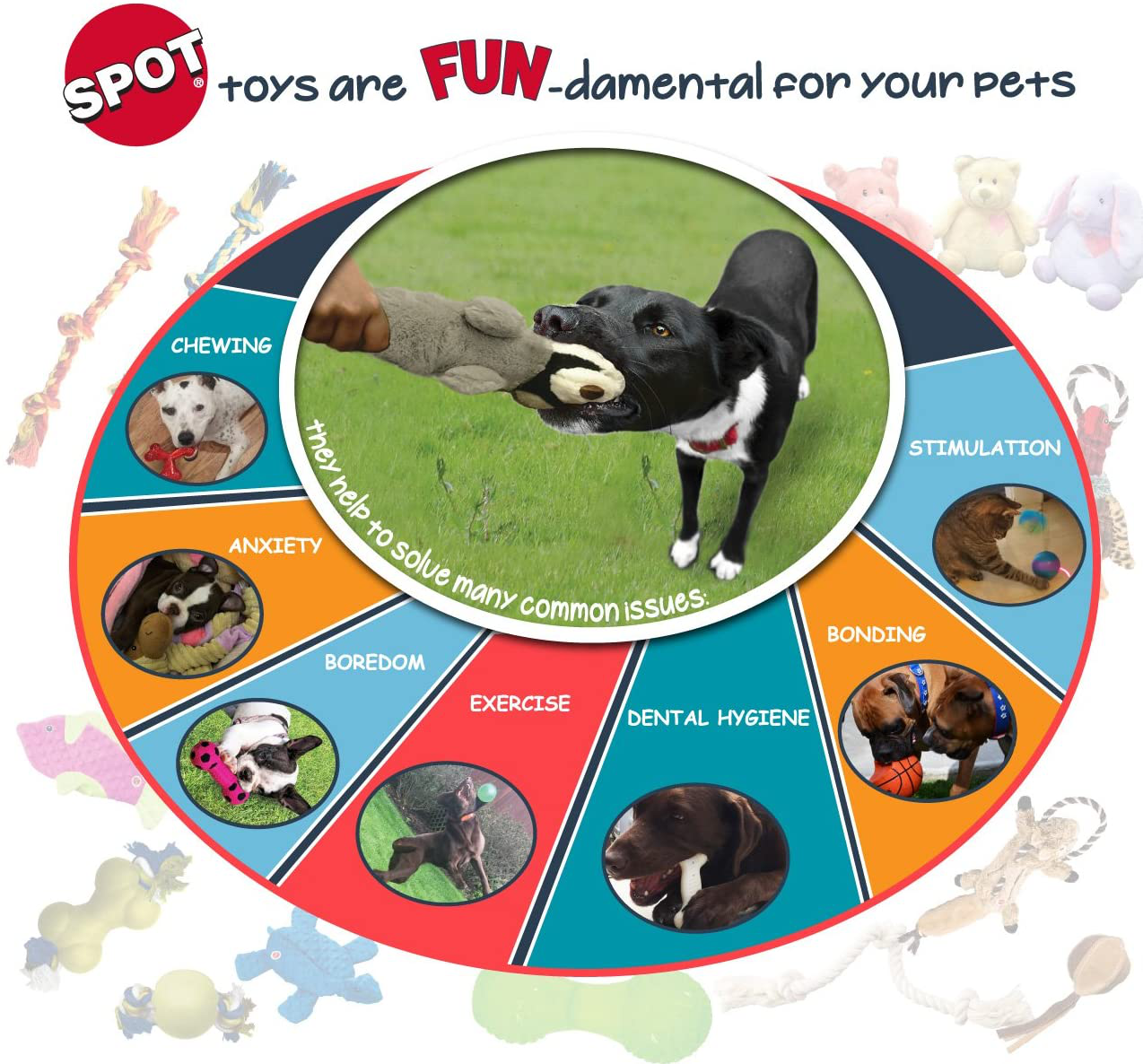 SPOT Ethical Pet Interactive Seek-A-Treat Shuffle Bone Toy Puzzle That Will Improve Your Dog'S IQ, Specially Designed for Training Treats Animals & Pet Supplies > Pet Supplies > Dog Supplies > Dog Toys Ethical Pet Products (Spot)