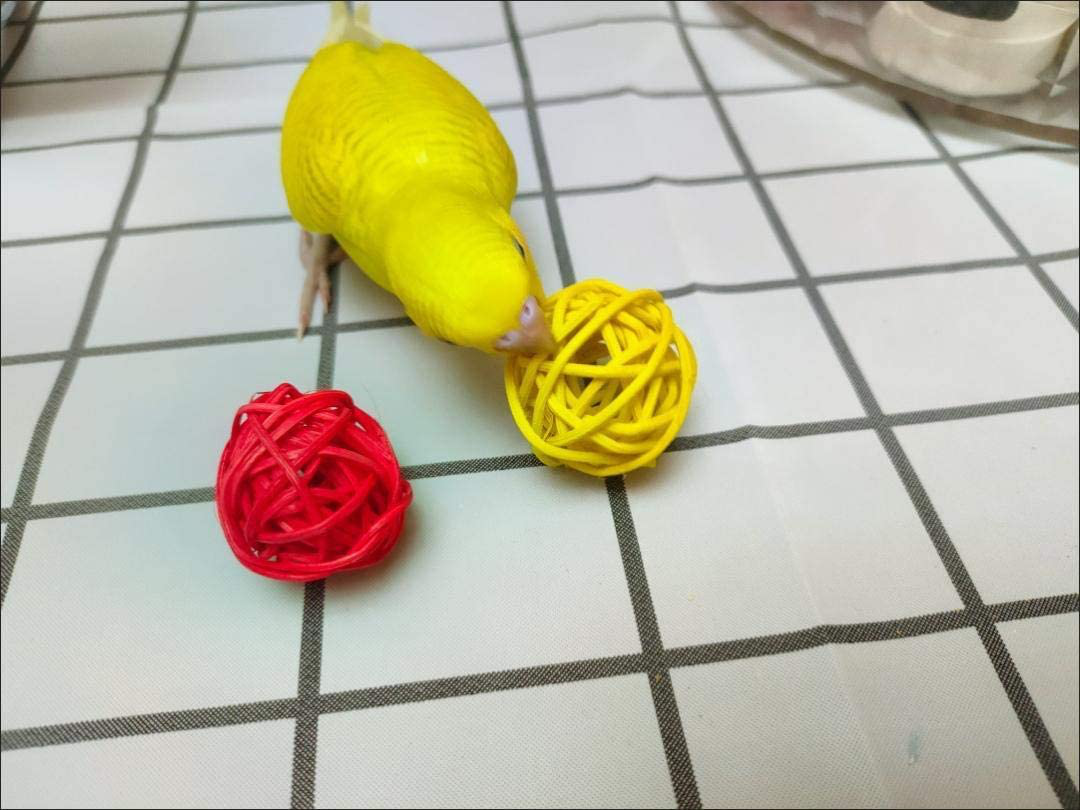 PBIEHSR Bird Parakeet Cockatiel Parrot Swing Toys, Pet Bird Cage Hammock Chewing Toy Hanging Bell Wooden Perch for Small Parrots, Conures, Love Birds, Finches, Budgie Animals & Pet Supplies > Pet Supplies > Bird Supplies > Bird Cage Accessories PBIEHSR