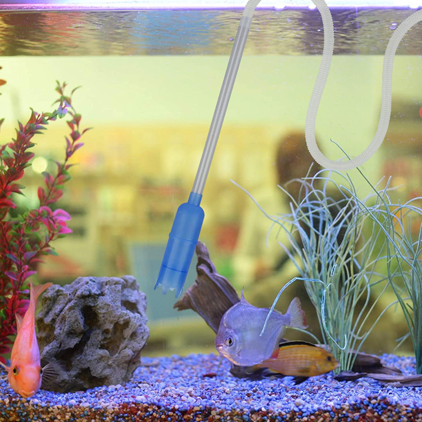 Katfort Fish Tank Cleaning Tools Kit, 5 in 1 Aquarium Algae Scrapers Gravel Cleaner Set Long Nozzle Water Flow Controller with Vacuum Cleaner with Fishing Net Animals & Pet Supplies > Pet Supplies > Fish Supplies > Aquarium Cleaning Supplies Katfort