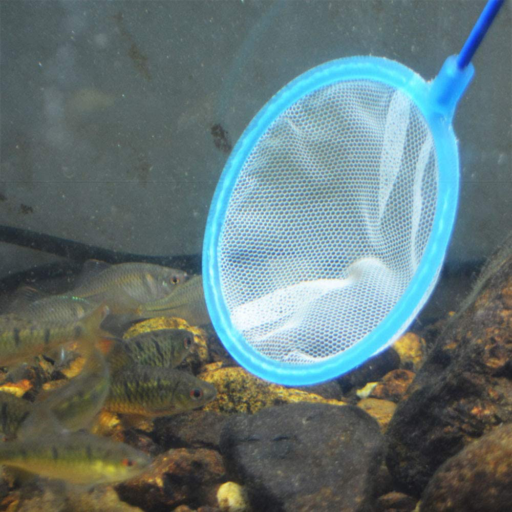 E-Outstanding Baby Brine Shrimp Net 3PCS Plastic Artemia Sieves Super Dense Filter Mesh Aquarium Fish Tank Tool for Artemia Eggs New Born Fish Animals & Pet Supplies > Pet Supplies > Fish Supplies > Aquarium Fish Nets E-outstanding