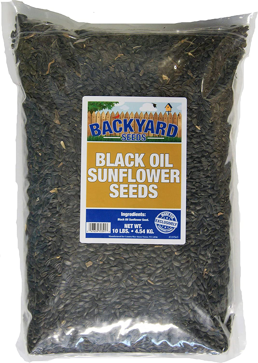 Countrymax Backyard Seeds Black Oil Sunflower Animals & Pet Supplies > Pet Supplies > Bird Supplies > Bird Food CountryMax 10 Pound (Pack of 1)