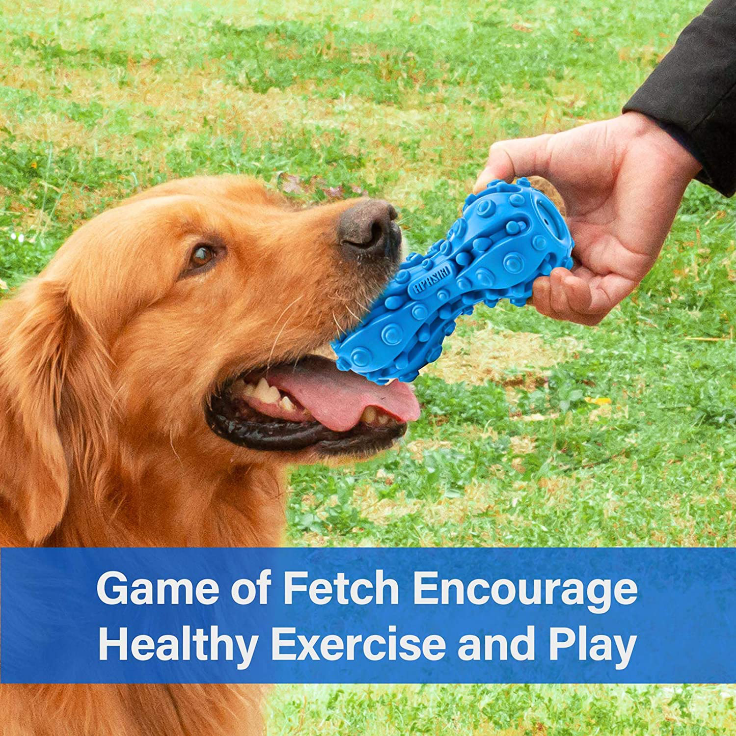 Dog Toys, Apasiri Dog Chew Toys, Rubber Puppy Chew Toys with Squeaker Almost Indestructible Durable Pet Toy for Medium Tough Chewers Toy for Large Breed Sturdy Animals & Pet Supplies > Pet Supplies > Dog Supplies > Dog Toys Apasiri