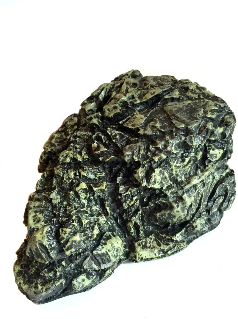 Bigwelly Reptile Habitat, Turtle Hideout,Water Tank Decoration for Fish, Reptiles, Amphibians,Frogs, Snakes,Lizards ,Shrimps, Spiders & Small Animals Animals & Pet Supplies > Pet Supplies > Small Animal Supplies > Small Animal Habitat Accessories wuhanbeichen