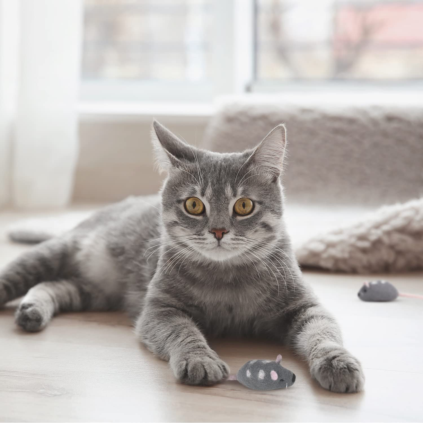 Feltcave Wool Cat Mouse Toys – Handmade Felt Mouse Cat Toy without Catnip, Cat Toys for Indoor Cats, Cat Mice Toys 4-Pack Animals & Pet Supplies > Pet Supplies > Cat Supplies > Cat Toys Feltcave