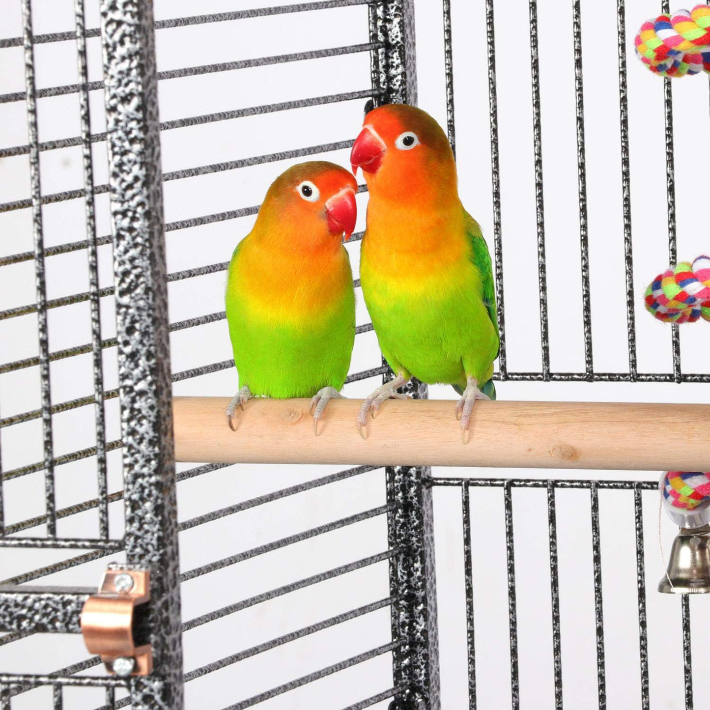 Go2Buy Wrought Iron Select Bird Cage Parrot Cockatoo Birdcage Stands, 61-Inch, Black Animals & Pet Supplies > Pet Supplies > Bird Supplies > Bird Cages & Stands go2buy