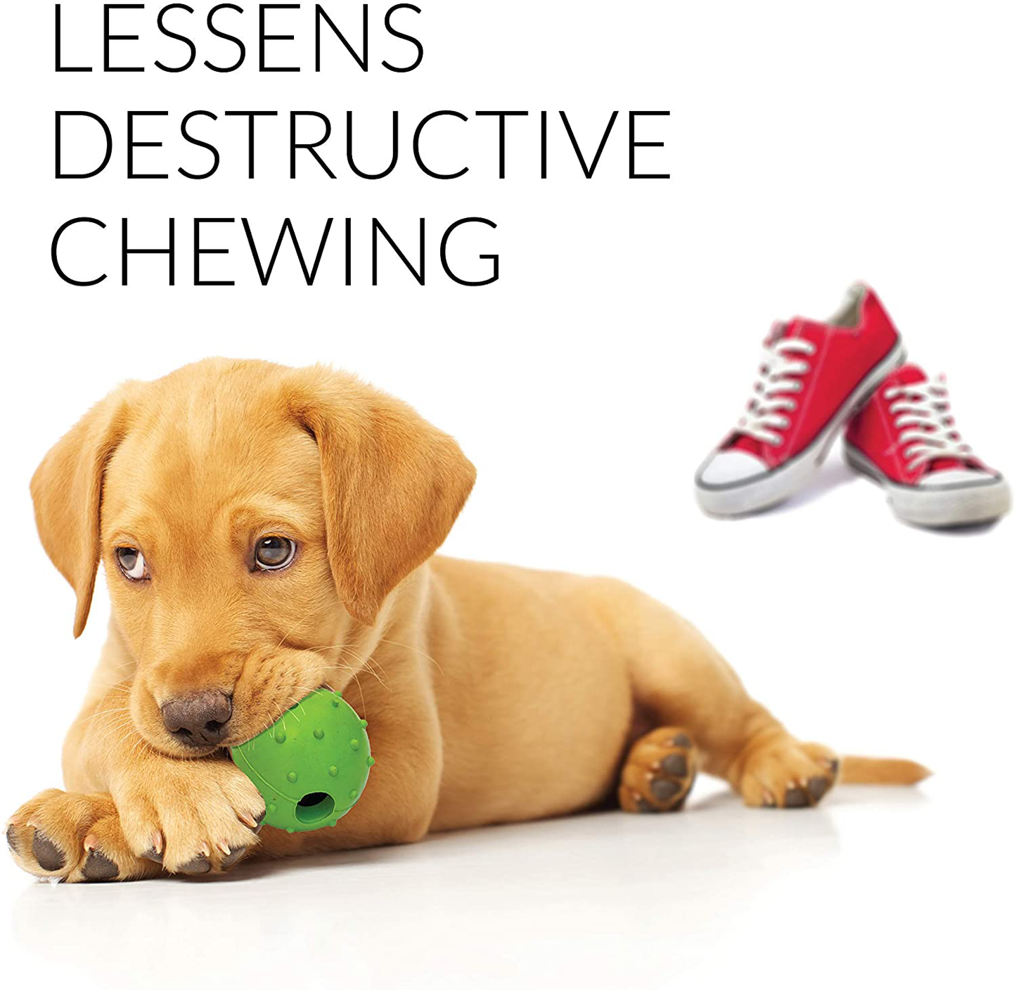 Rocket & Rex Dog Toy Pack, Chew Toys for Small Dogs and Dog Toys for Puppies, Safe & Non-Toxic, for Small to Medium Breeds, Includes Rope Toys, Plush Squeaky Toy, Ball and Tug of War Toy Animals & Pet Supplies > Pet Supplies > Dog Supplies > Dog Toys rocket & rex