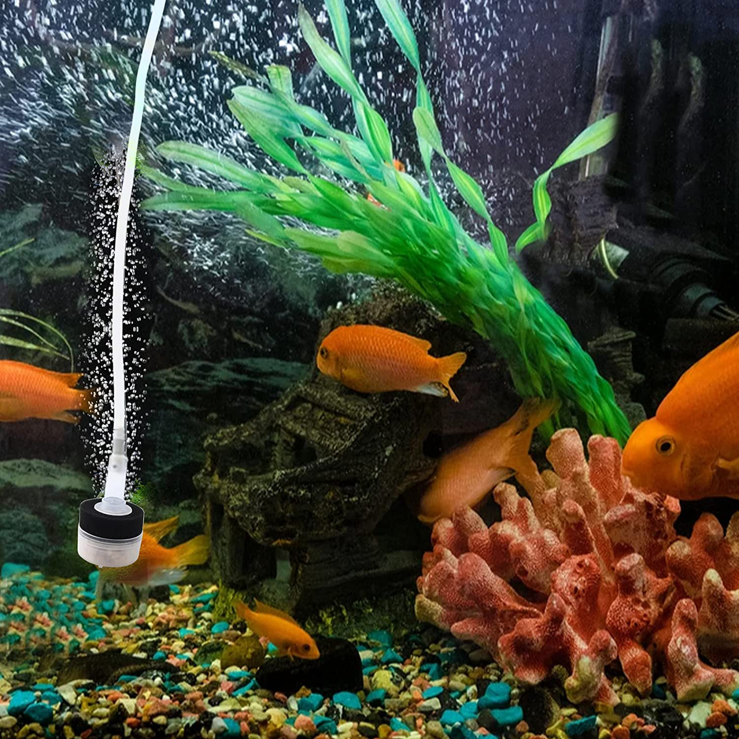 QXUJI 4PCS Air Driven Bio Filter Sponge Aquarium Filter, Bio Sponge Filter, Aqua Flow Sponge, Air Pump Driven, for Breeding Fry Betta Shrimp Fish Tank Aquarium Animals & Pet Supplies > Pet Supplies > Fish Supplies > Aquarium Filters QXUJI