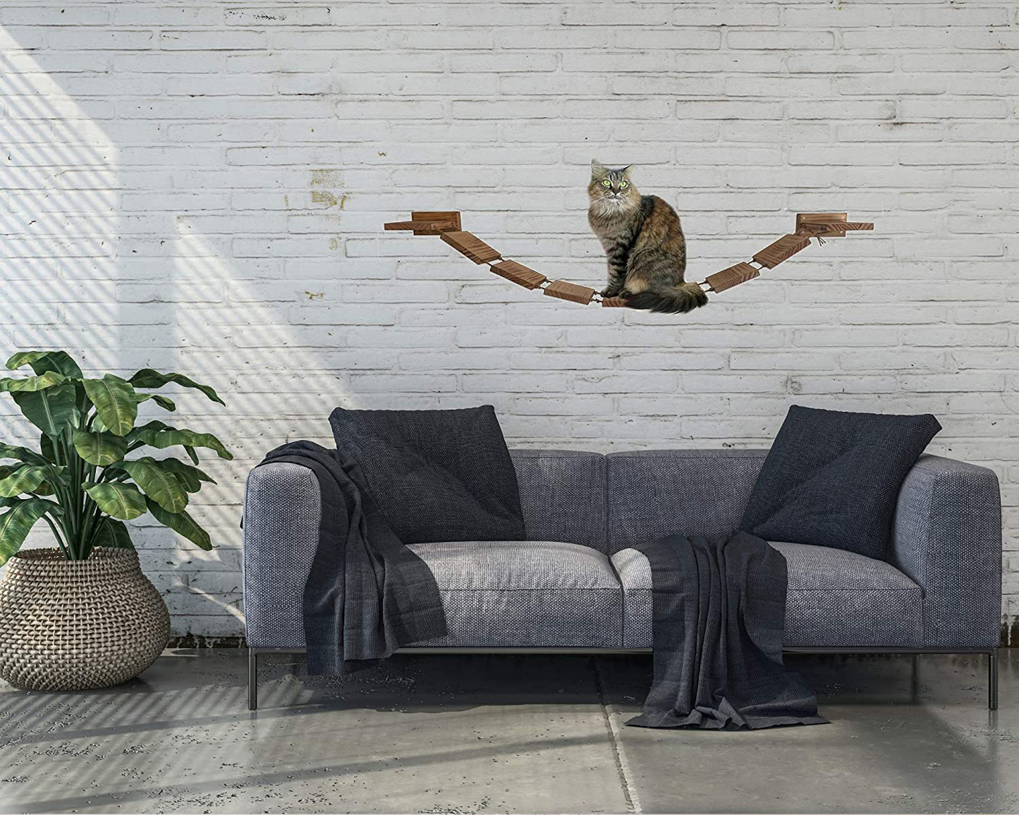 Olive & D Wall Mounted Cat Shelf Curved Perch. Sturdy Wooden Floating Hammock Bridge 56.7 Inches of Handcrafted Natural Pine. Sturdy, Wide Bed, Fully Assembled Easy Install. Animals & Pet Supplies > Pet Supplies > Cat Supplies > Cat Furniture Olive & D