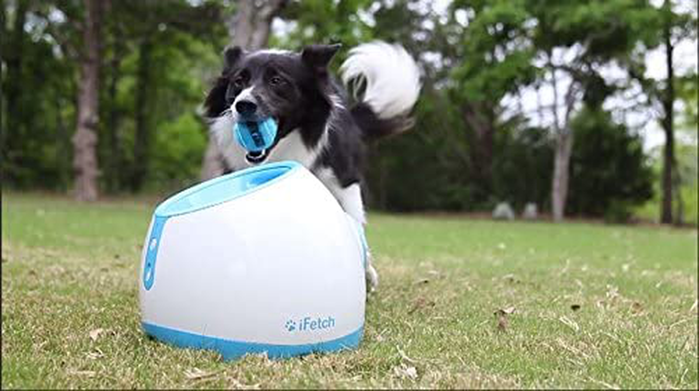 Ifetch Interactive Ball Launchers for Dogs Animals & Pet Supplies > Pet Supplies > Dog Supplies > Dog Treadmills iFetch   