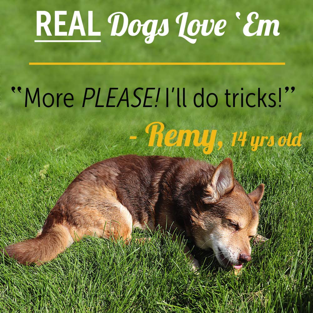 Pet’S Choice Pharmaceuticals Hidenomore, Rawhide Free Chicken Chew Treats for Dogs, 4-5" 4 Ct Animals & Pet Supplies > Pet Supplies > Small Animal Supplies > Small Animal Treats Pets Choice