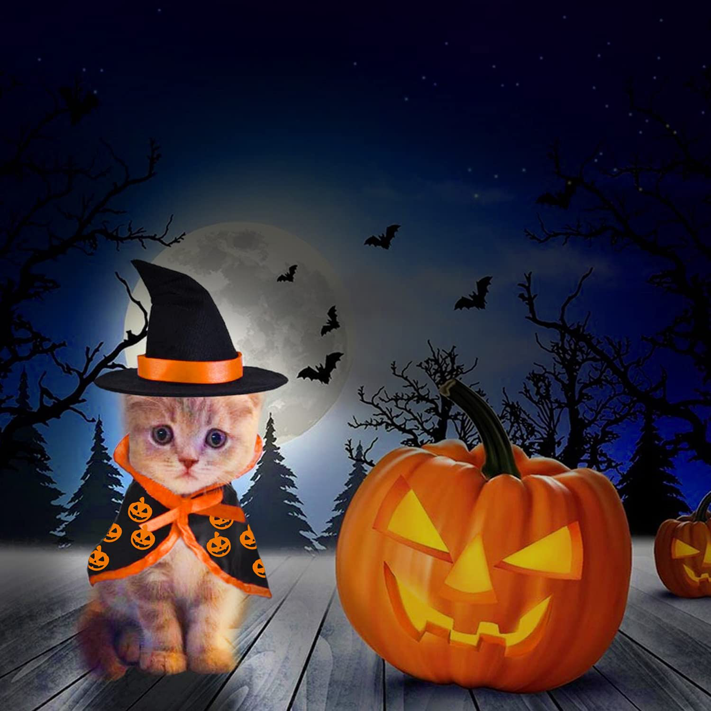 Halloween Cat Pet Wizard Costume Cats Small Dogs Clothes Outfit Witch Cape with Hats Pets Costume Apparel for Kitten Puppy for Birthday Cosplay Halloween Eve Party Animals & Pet Supplies > Pet Supplies > Cat Supplies > Cat Apparel LOLIPOUP