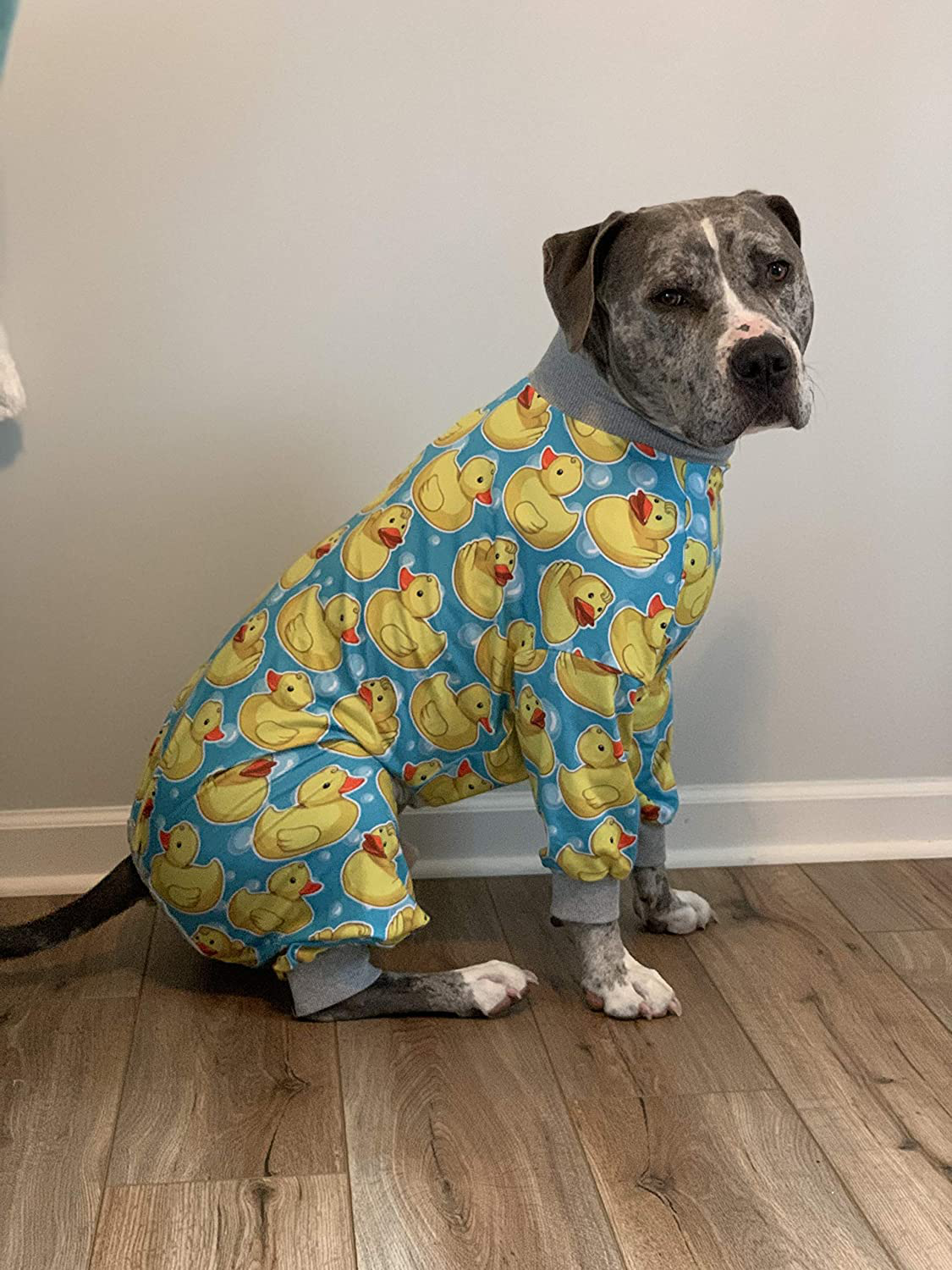 Tooth and Honey Pit Bull Pajamas/Rubber Duck Print/Lightweight Pullover Pajamas/Full Coverage Dog Pjs/Yellow with Grey Trim Animals & Pet Supplies > Pet Supplies > Dog Supplies > Dog Apparel Tooth & Honey