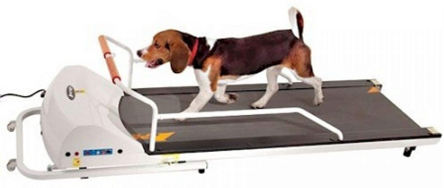 Gopet Petrun PR720F Dog Treadmill Animals & Pet Supplies > Pet Supplies > Dog Supplies > Dog Treadmills GOPET