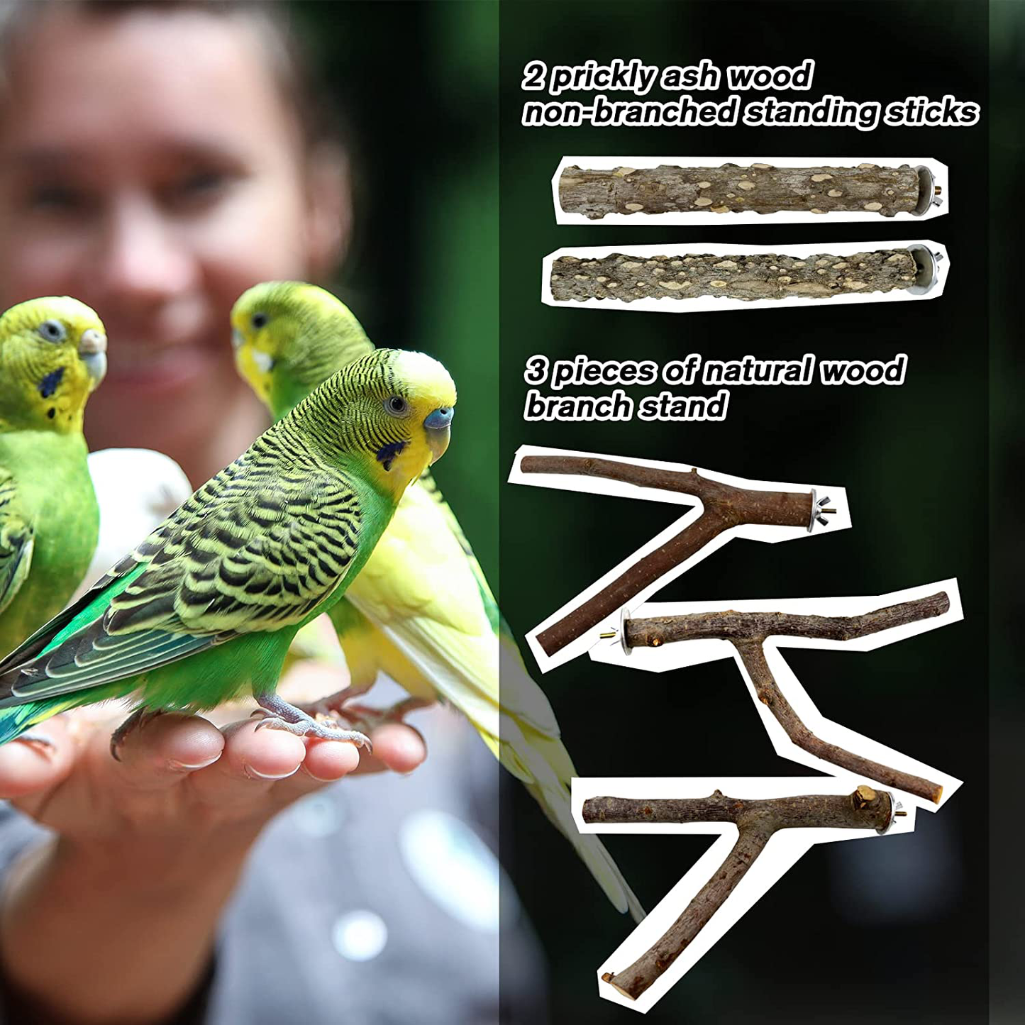 RF-X Bird Toys Perch Wood, Parrot Toys Natural Branch Standing Stick Set of 5, Suitable for Macaws, Budgies, Lovebirds, Finches, Small and Medium Sized Bird Toys Animals & Pet Supplies > Pet Supplies > Bird Supplies > Bird Toys RF-X