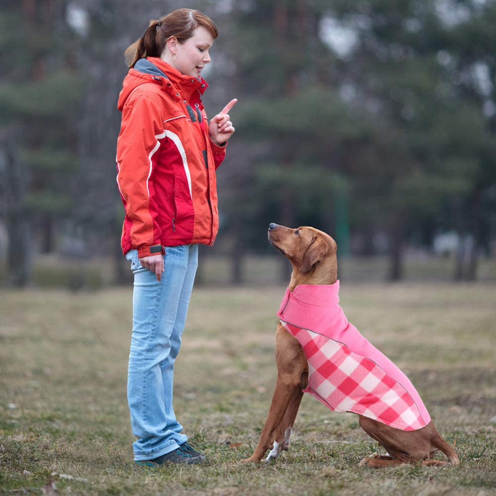 Kuoser Reversible Dog Cold Weather Coat, Reflective Waterproof Winter Pet Jacket, British Style Plaid Dog Coat Warm Cotton Lined Vest Windproof Outdoor Apparel for Small Medium and Large Dogs Animals & Pet Supplies > Pet Supplies > Dog Supplies > Dog Apparel Kuoser