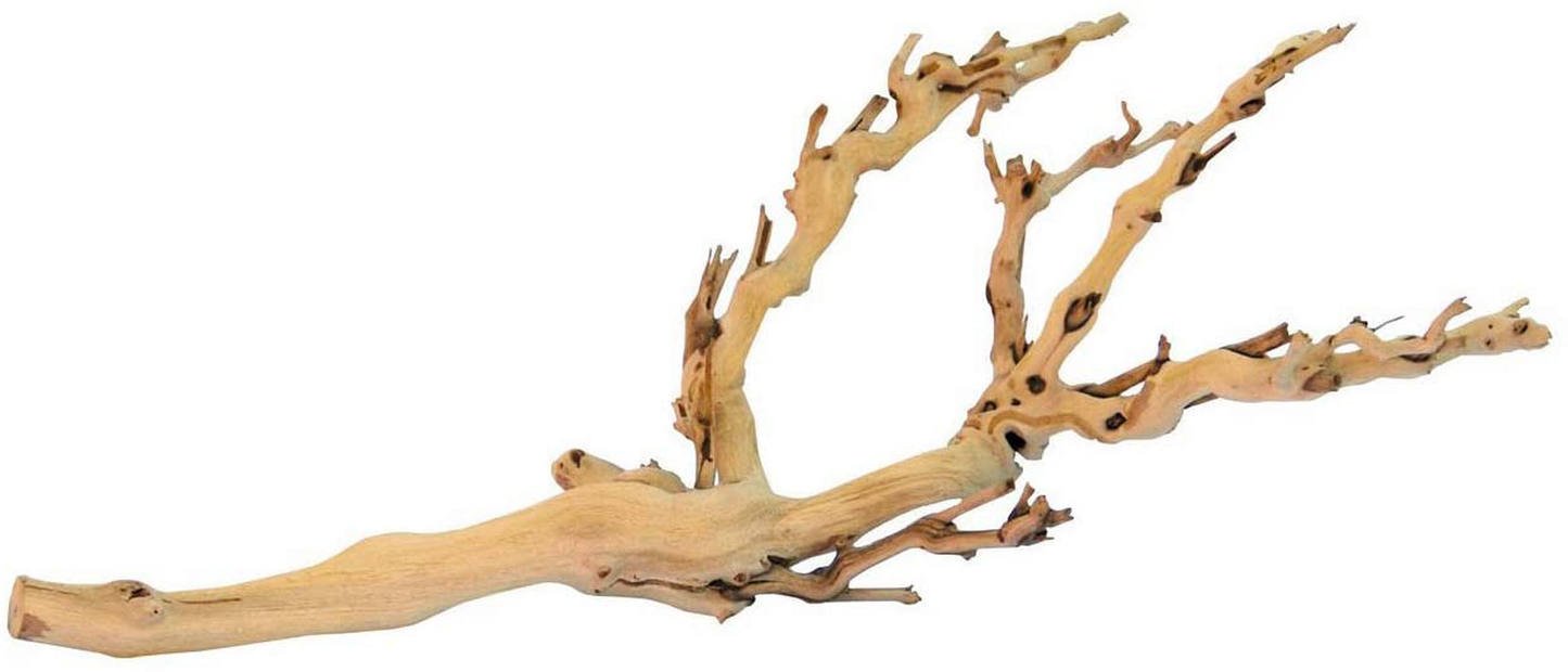 Exo Terra Forest Branch, Reptile Terrarium Decoration Animals & Pet Supplies > Pet Supplies > Reptile & Amphibian Supplies > Reptile & Amphibian Substrates Exo Terra Medium