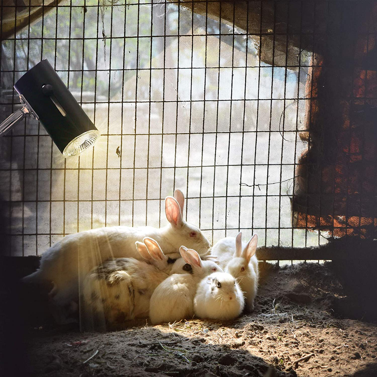 Gabraden Reptile Pet Coop Heater 50W Safer than Brooder Lamps Used for Rabbits, Chickens, Hamsters and Other Small Animals (Black) Animals & Pet Supplies > Pet Supplies > Reptile & Amphibian Supplies > Reptile & Amphibian Habitat Heating & Lighting GABraden