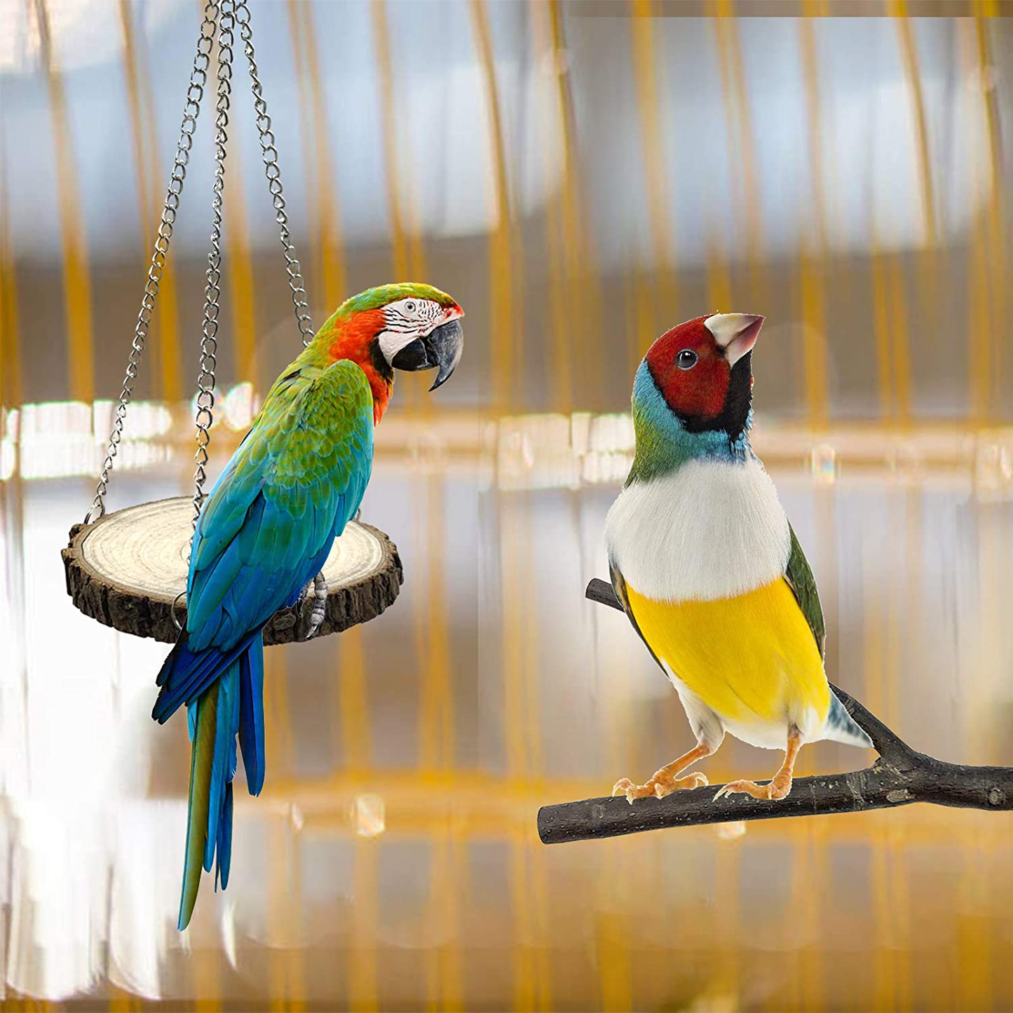 Ebaokuup Bird Natural Wood Perch Stand Platform - 8 PCS Small Bird Parrot Perch Stand Platform Exercise Toy for Budgies Cockatiels Conure Lovebirds Animals & Pet Supplies > Pet Supplies > Bird Supplies > Bird Cage Accessories EBaokuup