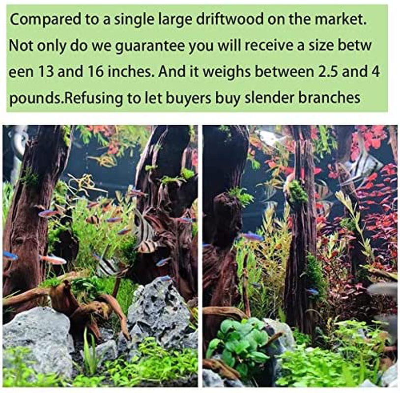 WDEFUN Natural Large Driftwood for Aquarium Decor, 13-16 Inch Long(2.4-4 Lbs) Drifwood for Reptile Decoration Animals & Pet Supplies > Pet Supplies > Fish Supplies > Aquarium Decor WDEFUN