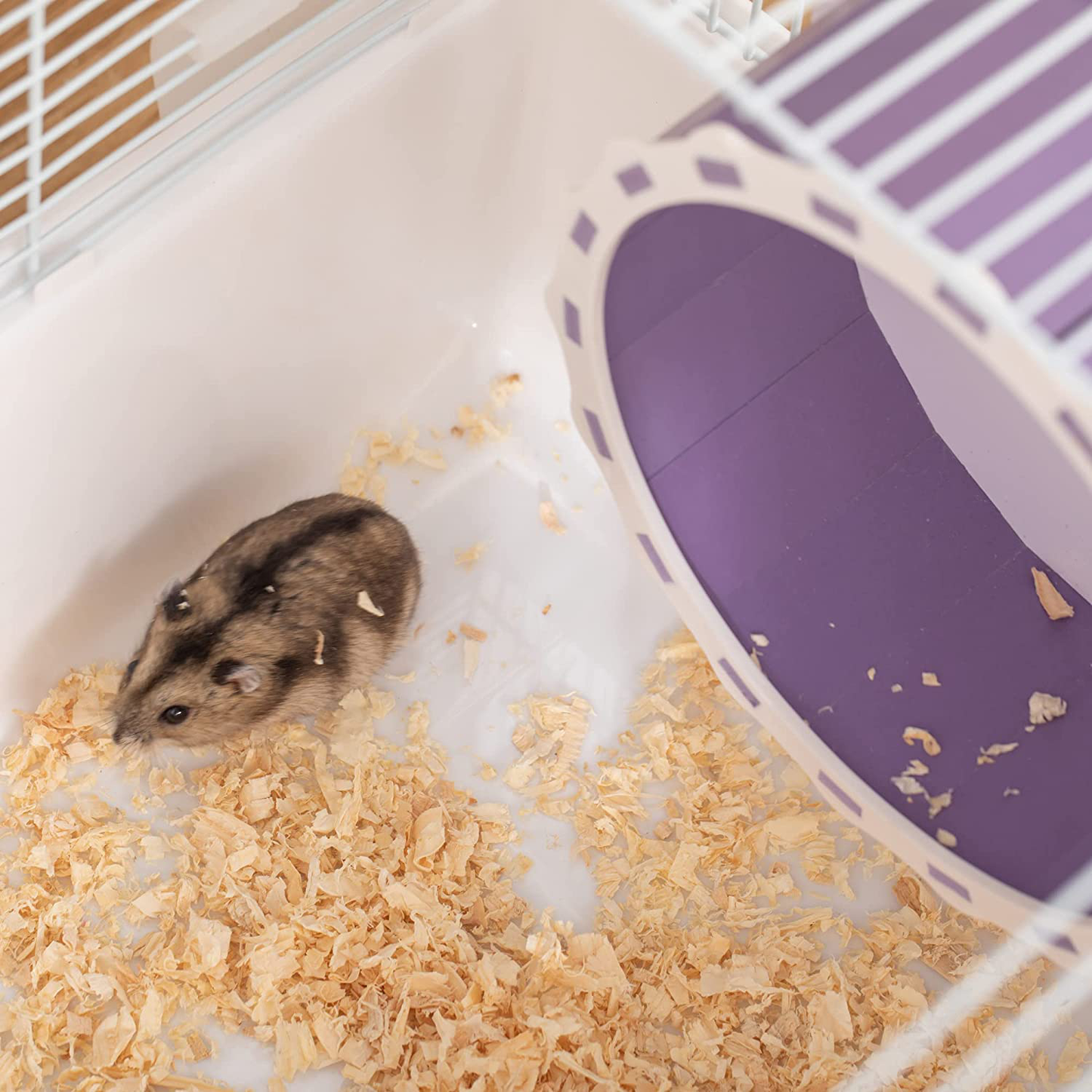 Pawhut 2 Tier Hamster Cage Gerbil Haven Multi-Storey Rodent House Small Animal Habitat with Water Bottle, Excise Wheel, Ladder, Hut, White Animals & Pet Supplies > Pet Supplies > Small Animal Supplies > Small Animal Habitats & Cages PawHut