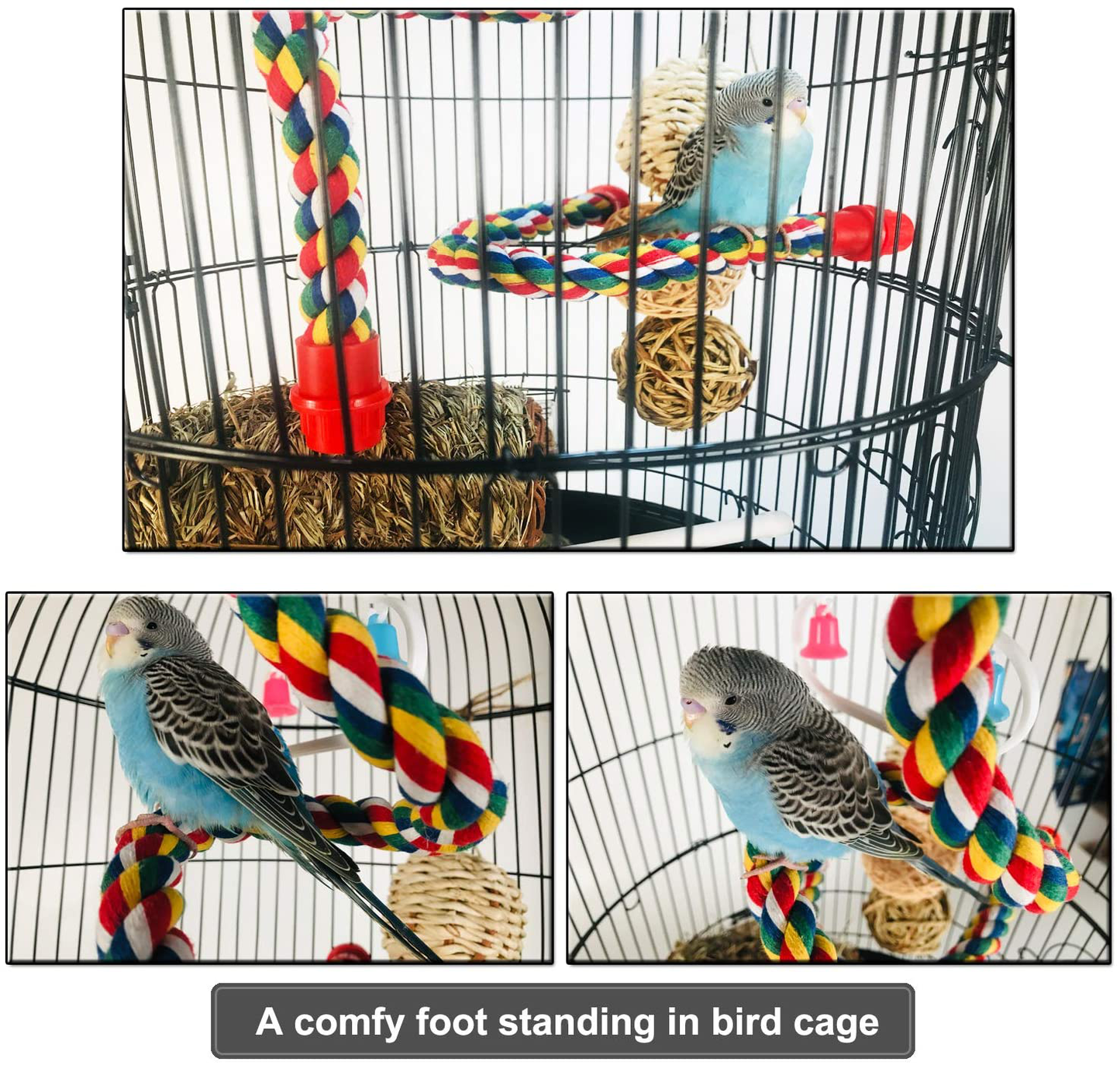 Bird Rope Perch Comfy Cotton Spiral Bungee Swing Climbing Standing Ladder for Cage Parrot Toy Free Bending Animals & Pet Supplies > Pet Supplies > Bird Supplies > Bird Ladders & Perches iLeson
